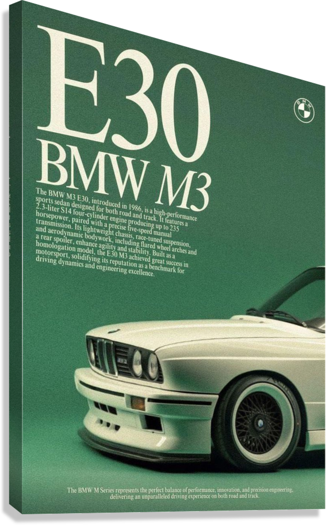 BMW E30 CANVAS POSTER