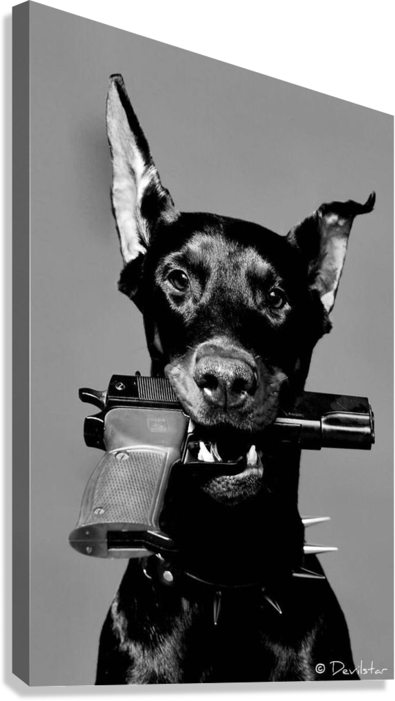 TOUGH DOBERMAN DOG CANVAS POSTER