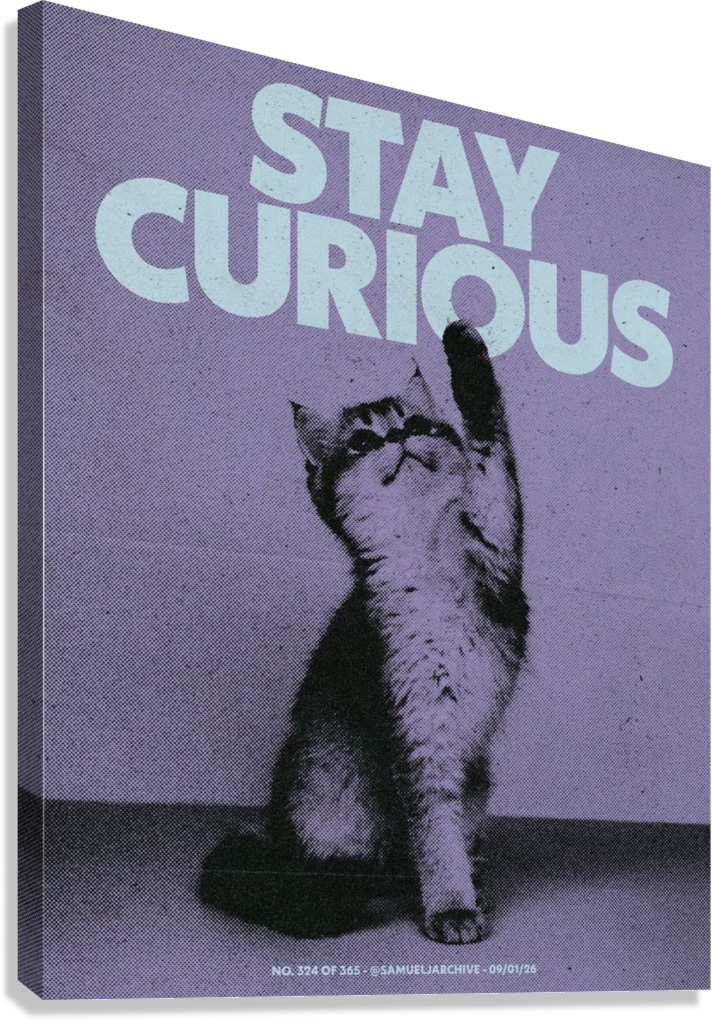 CUTE "STAY CURIOUS" CAT CANVAS POSTER