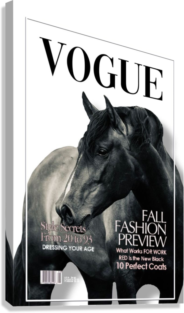 BLACK STALLION VOGUE AESTHETIC CANVAS POSTER
