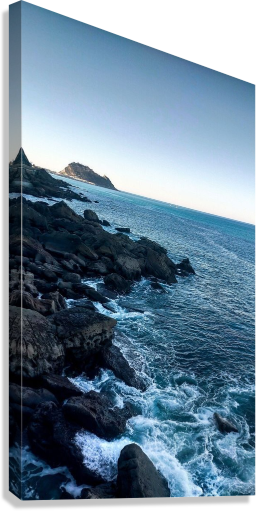 AESTHETIC BEACH SHORE CANVAS POSTER