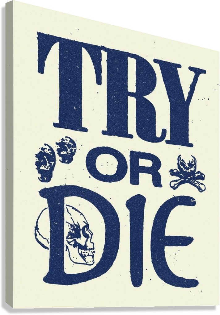 AESTHETIC MOTIVATIONAL "die or try" CANVAS POSTER