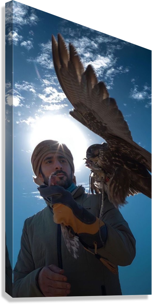 HH SHEIKH HAMDAN BIN MOHAMMED AL MAKTOUM DESERT FALCONRY CANVAS POSTER