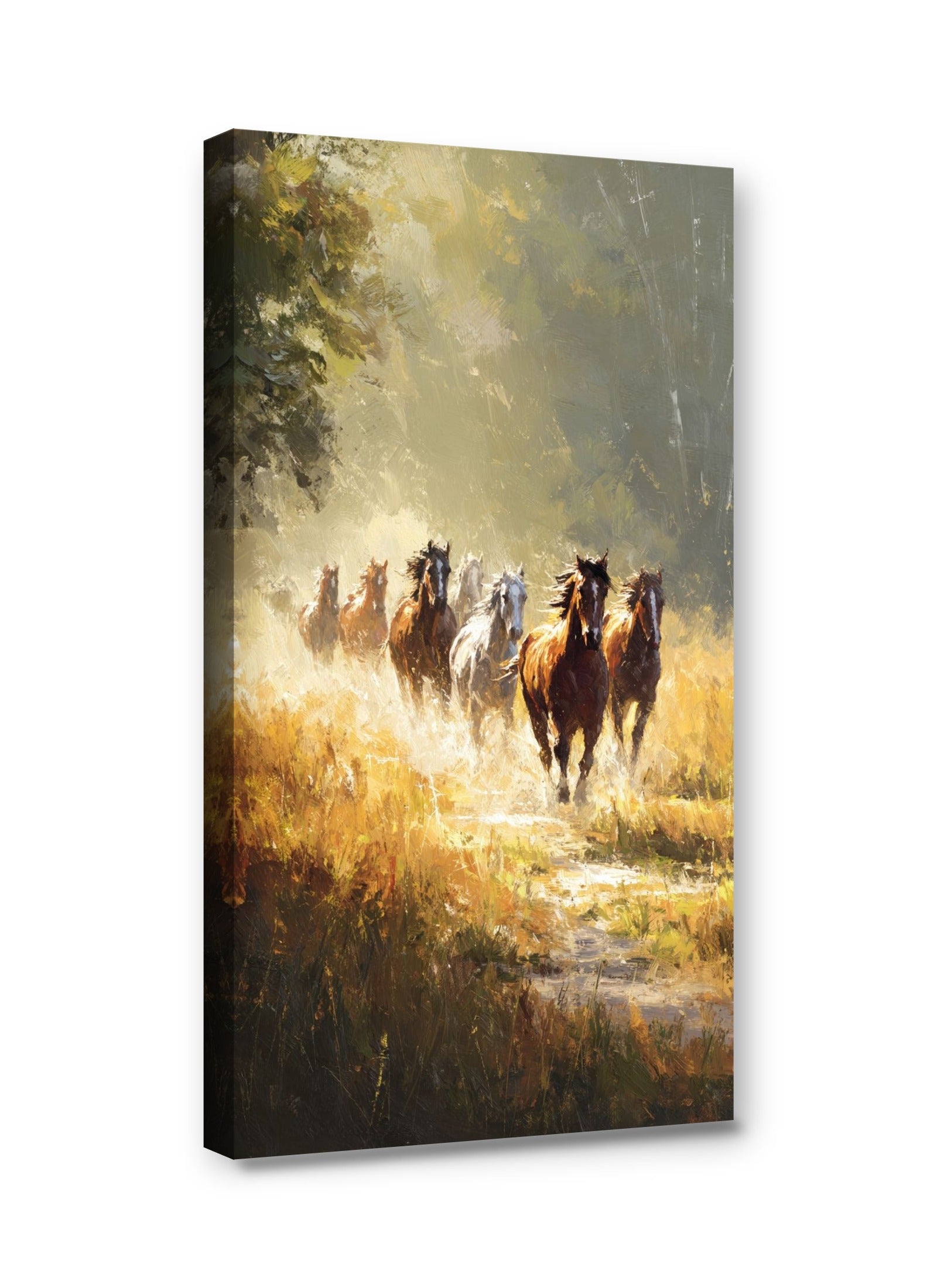 Framed canvas