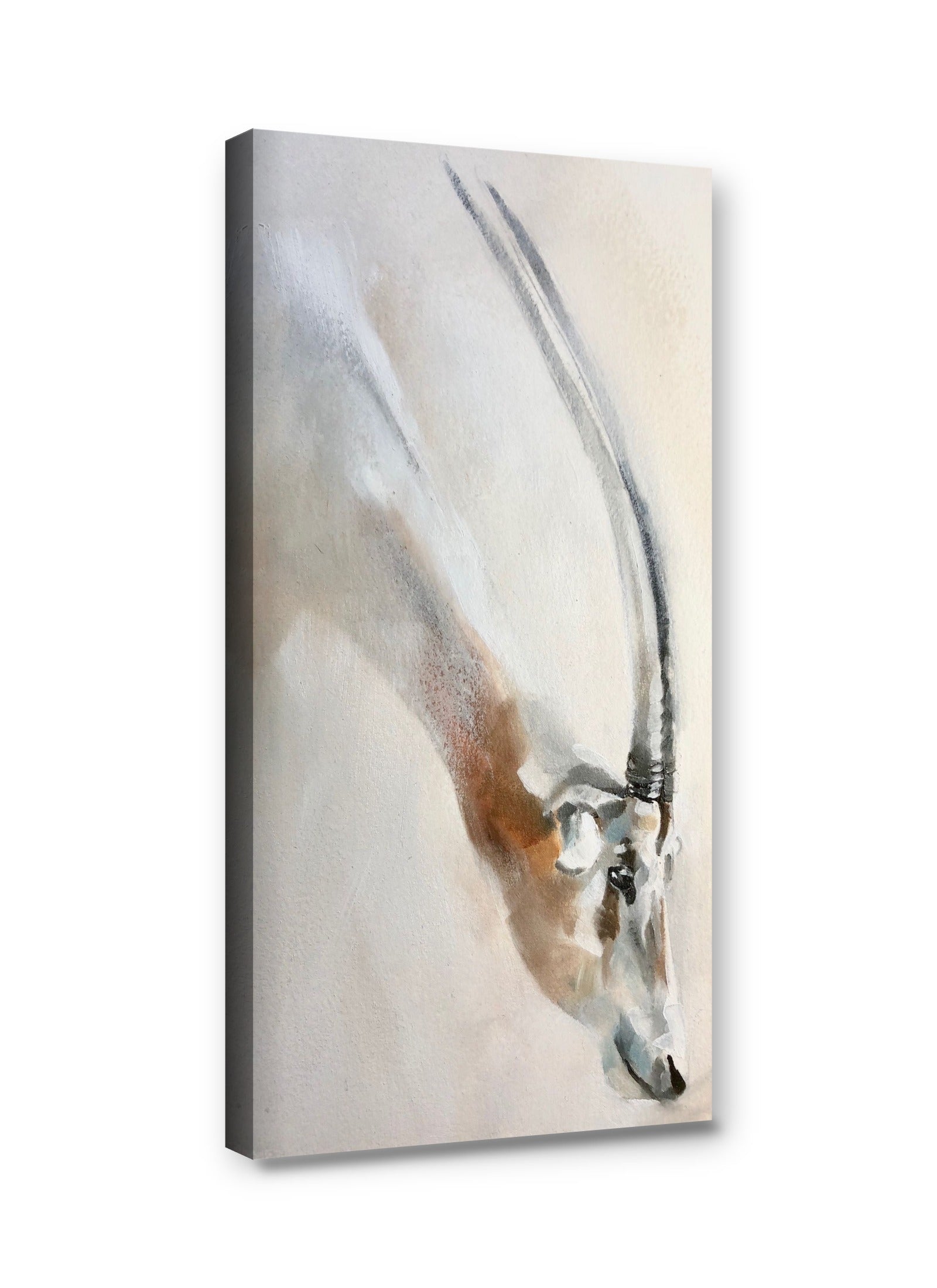 Framed canvas
