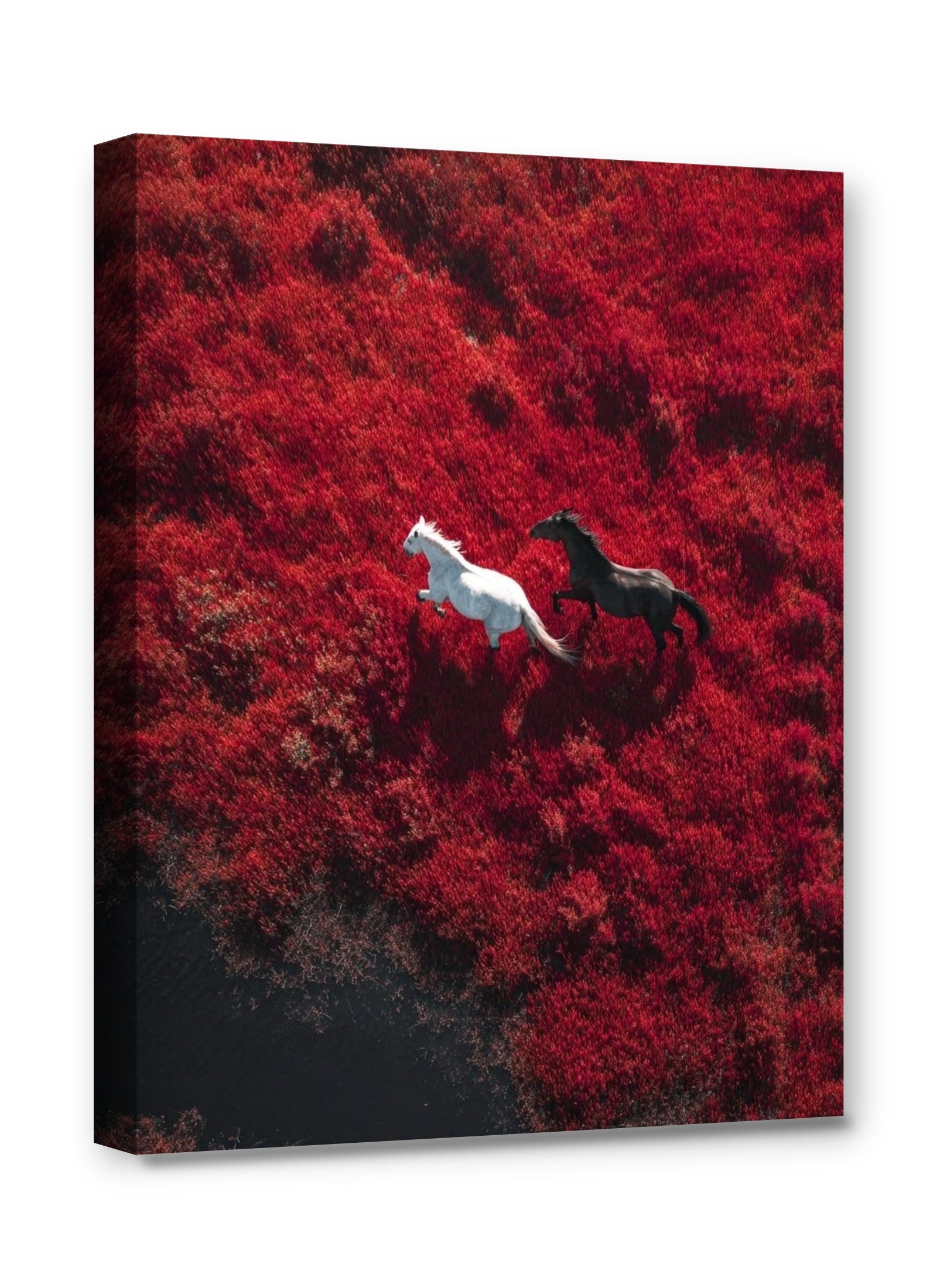 Framed canvas