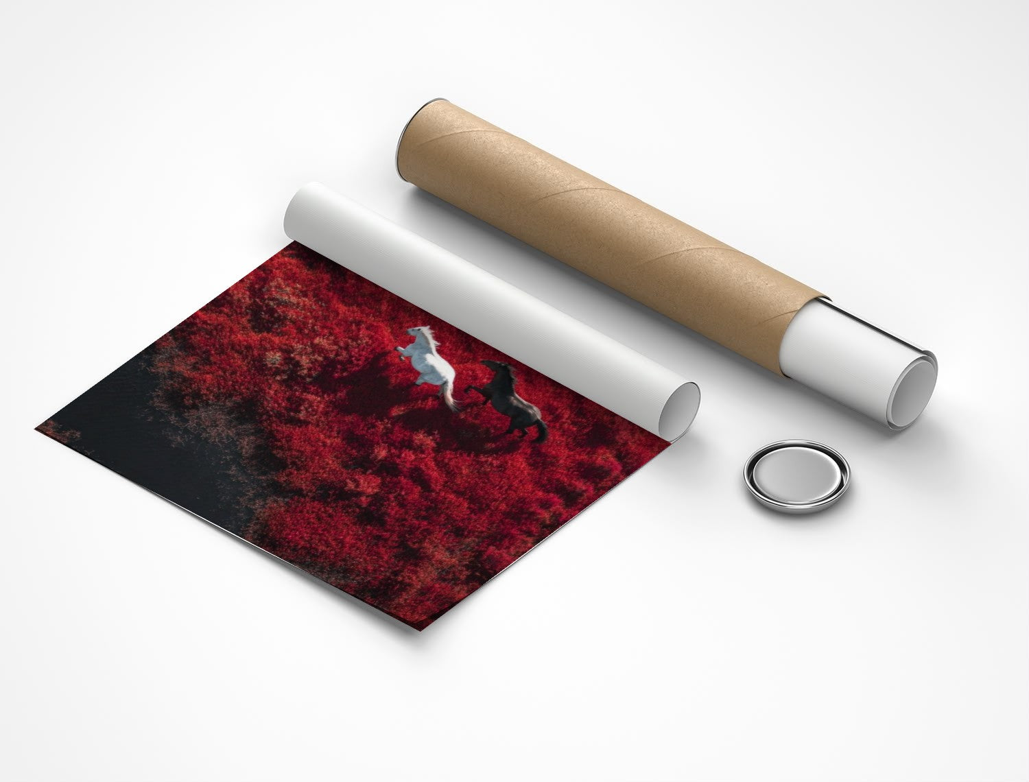 Rolled poster