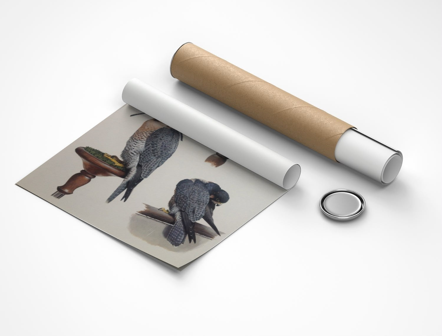 Rolled poster
