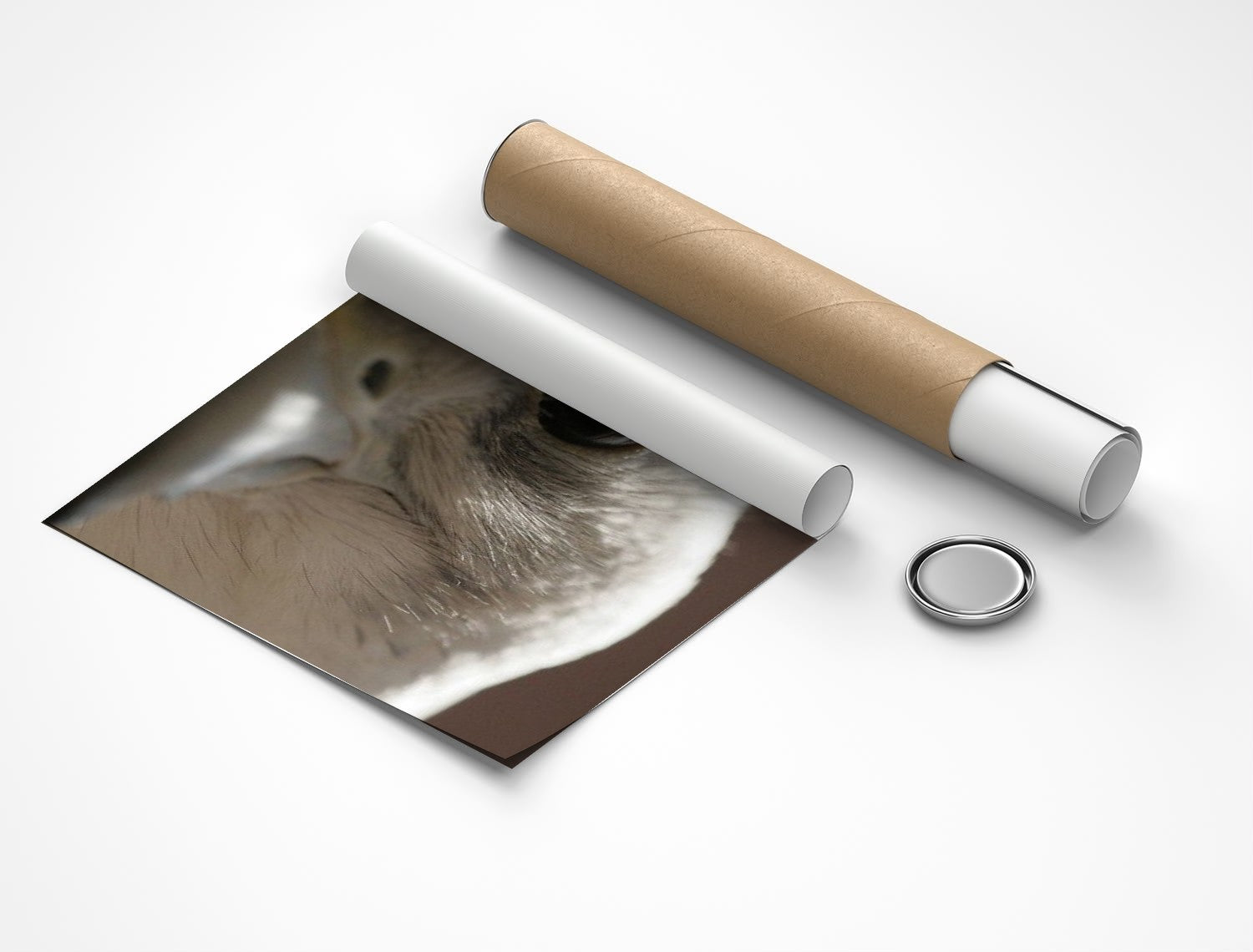 Rolled poster