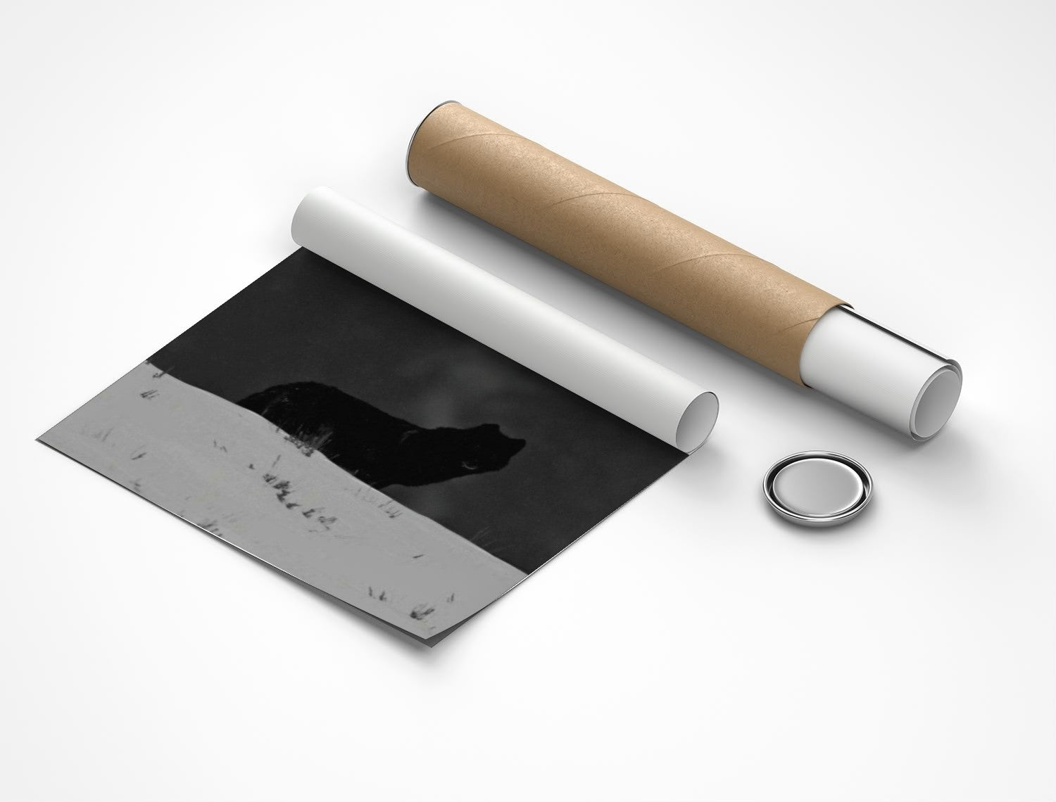 Rolled poster