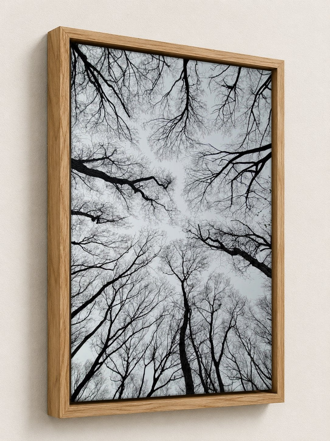 Oak floater