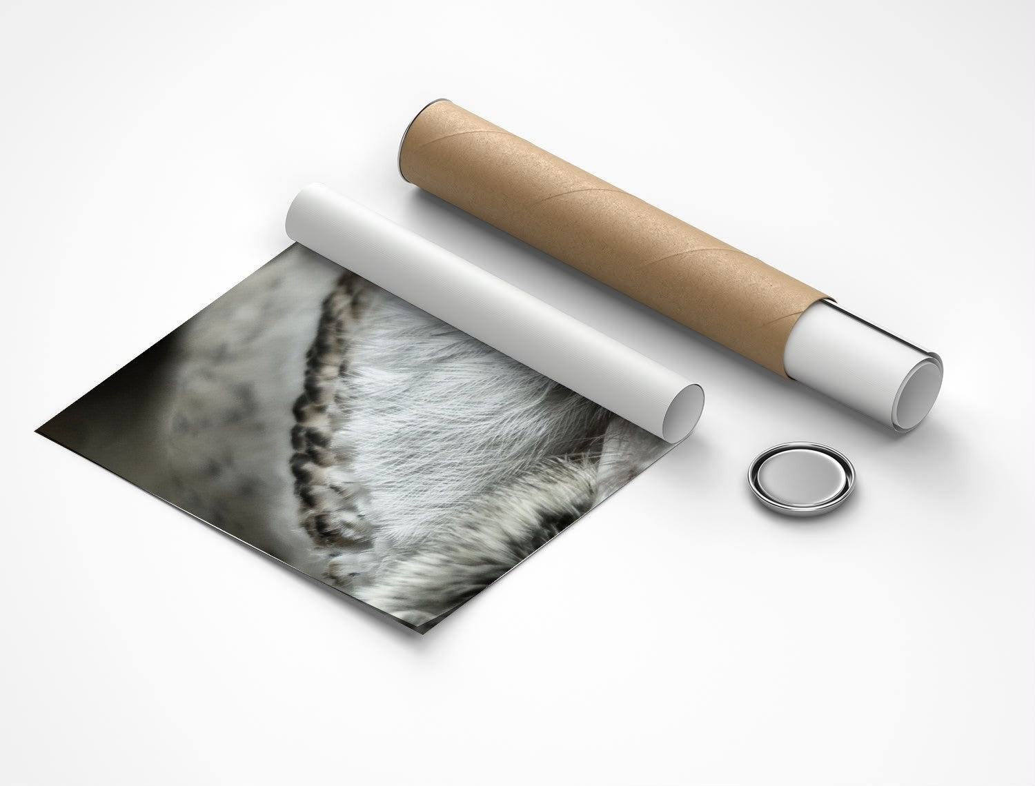 Rolled poster