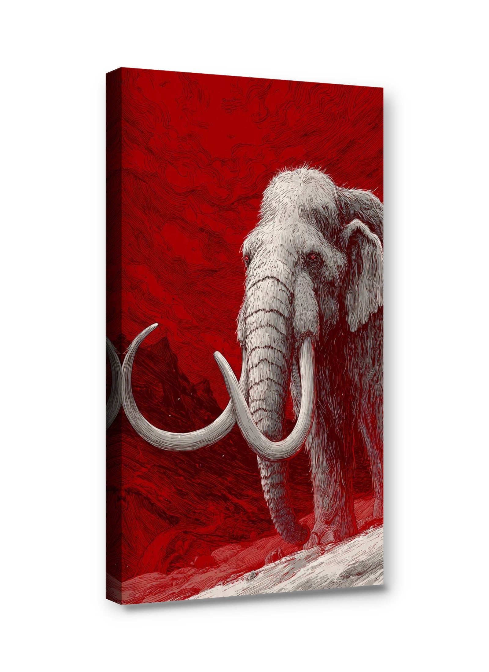 Framed canvas