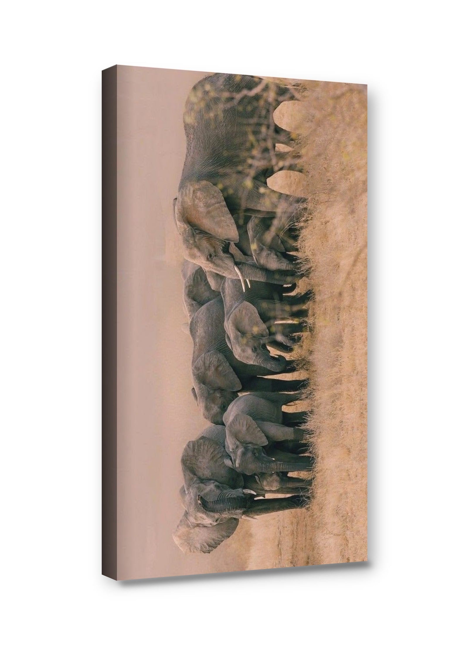 Framed canvas