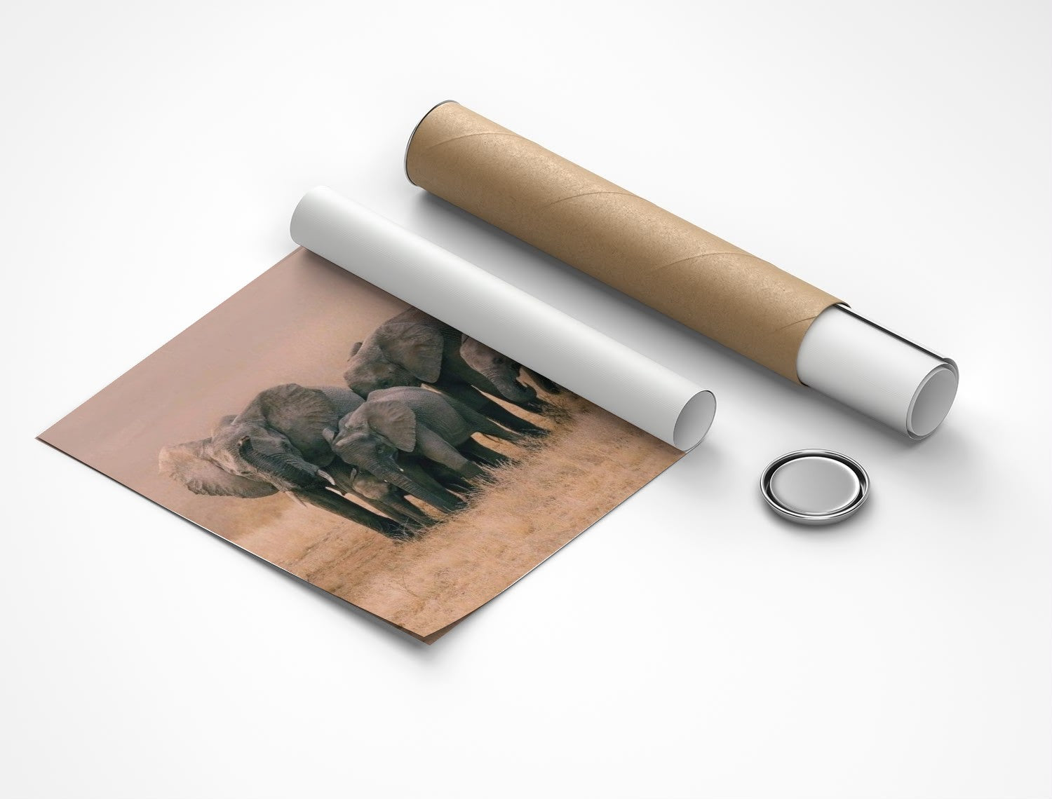 Rolled poster