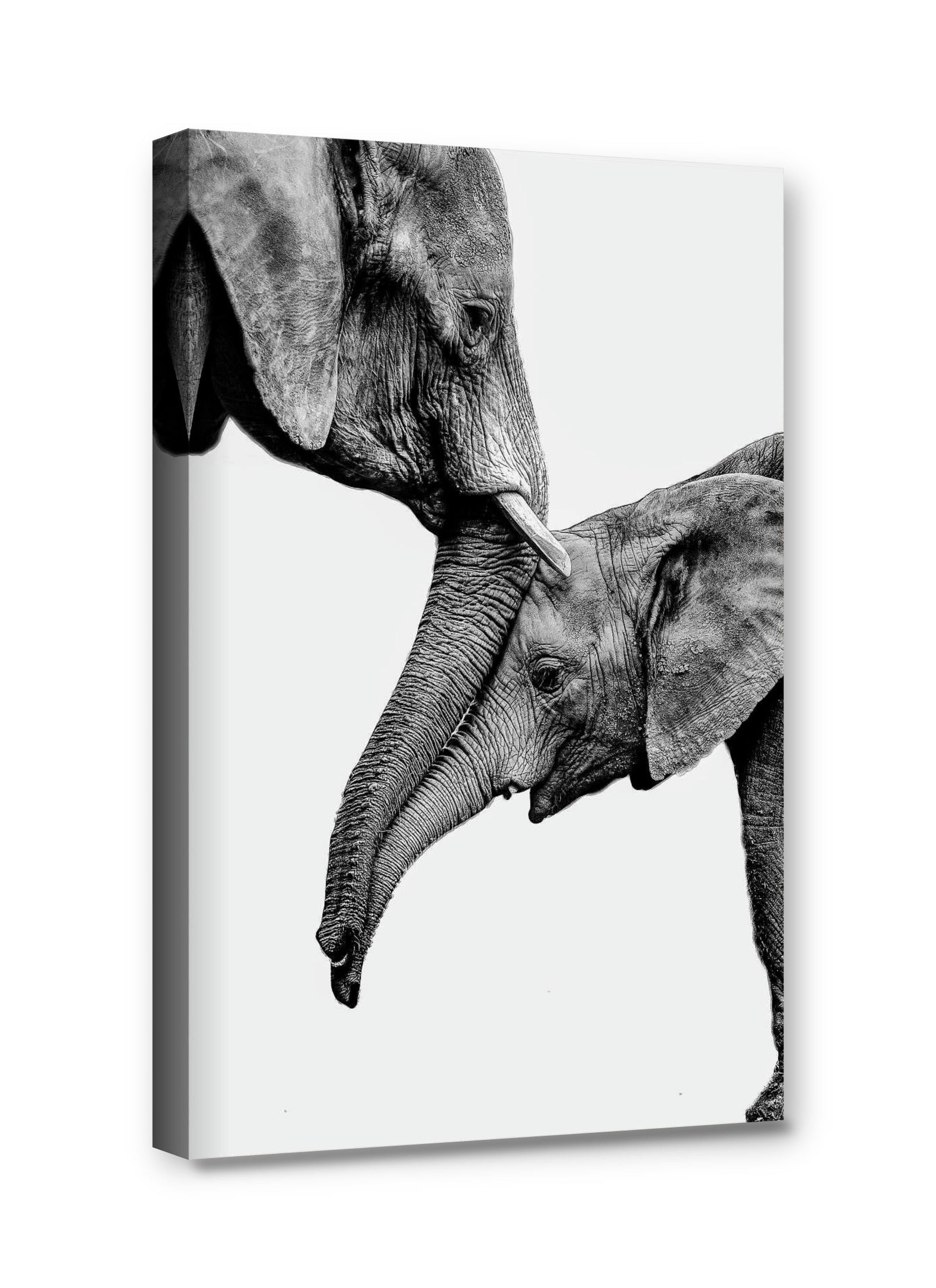 Framed canvas