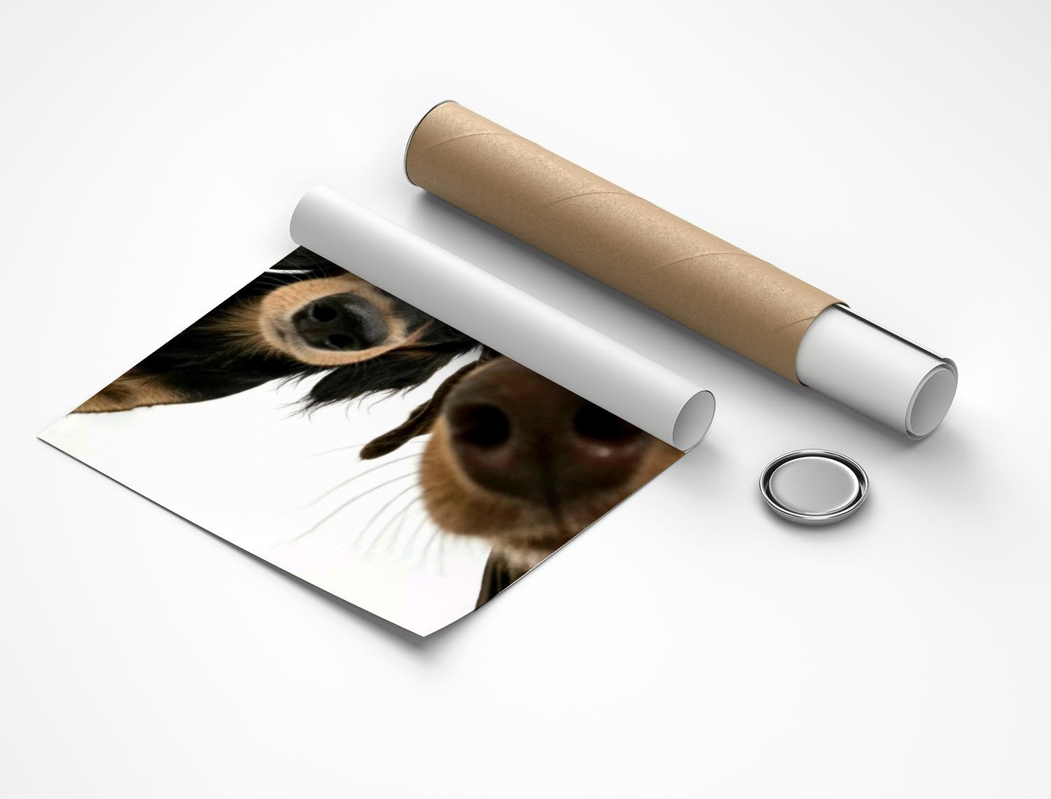 Rolled poster