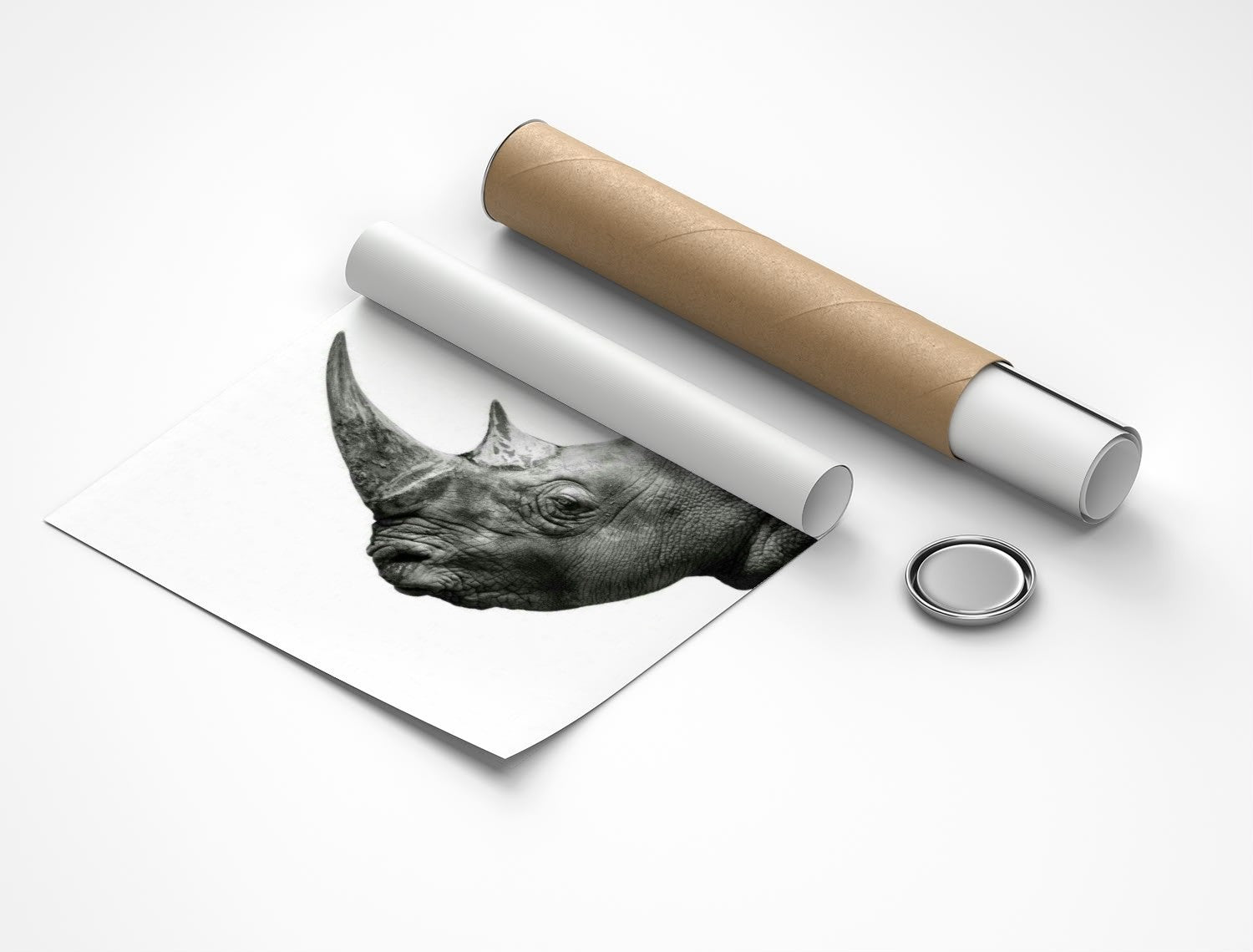 Rolled poster