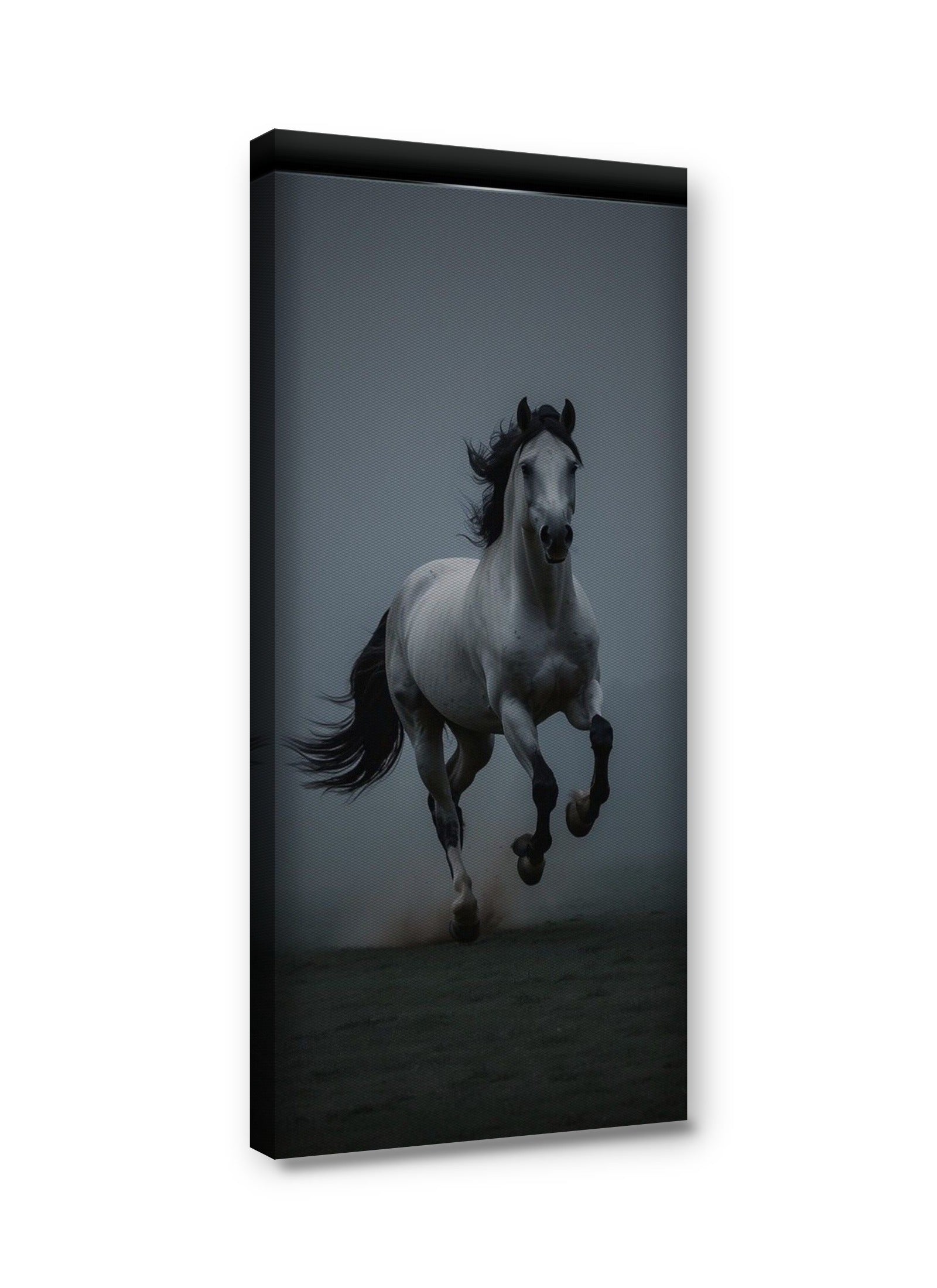 Framed canvas