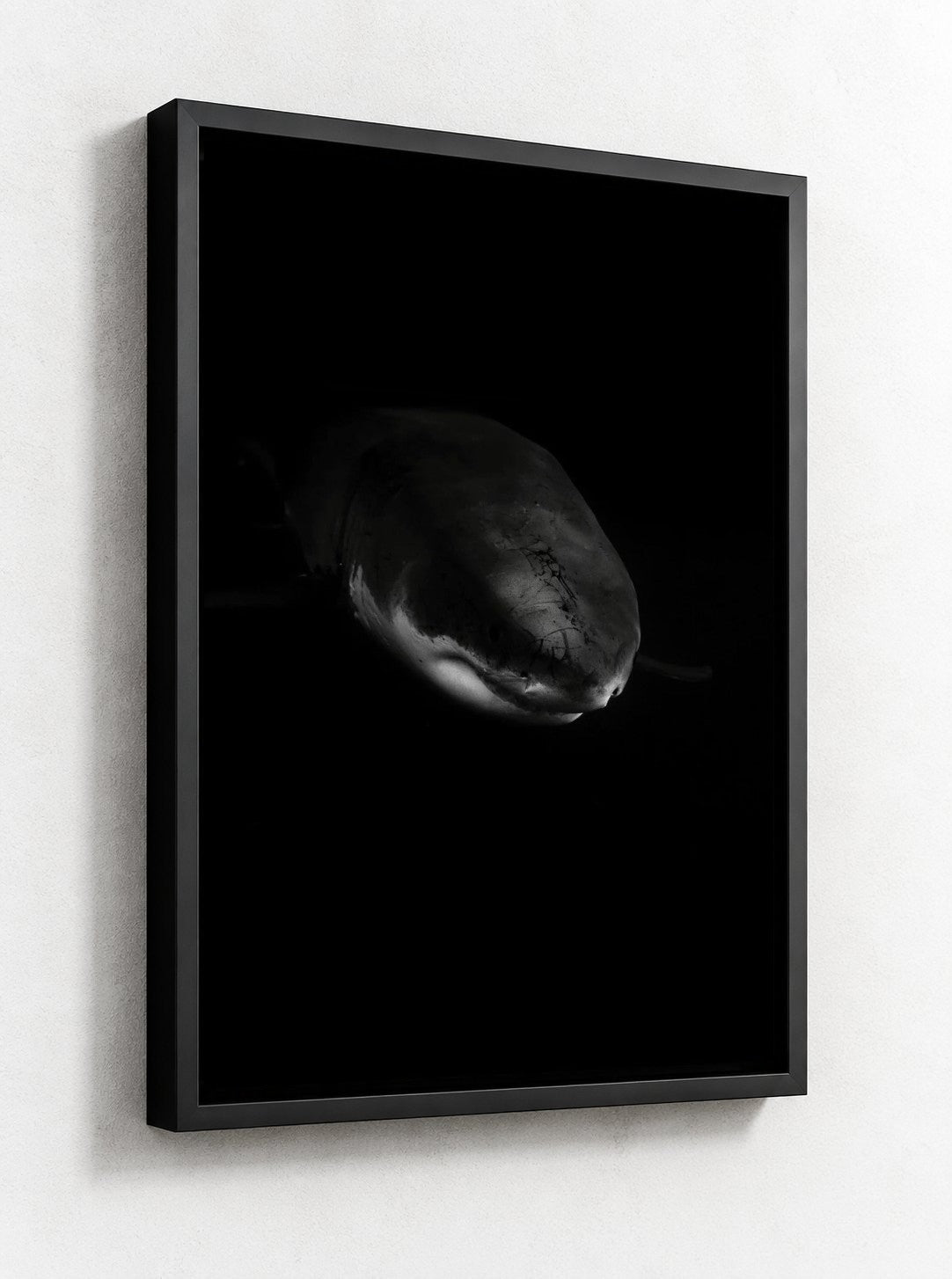 Black floater