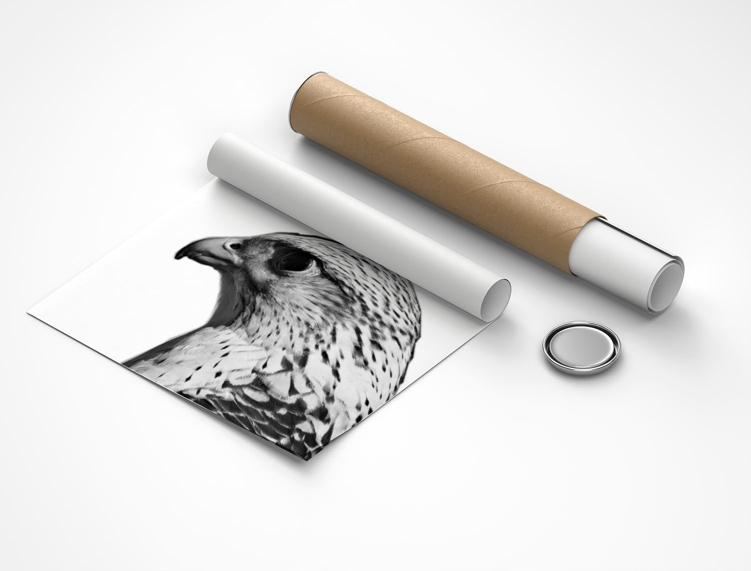 Rolled poster