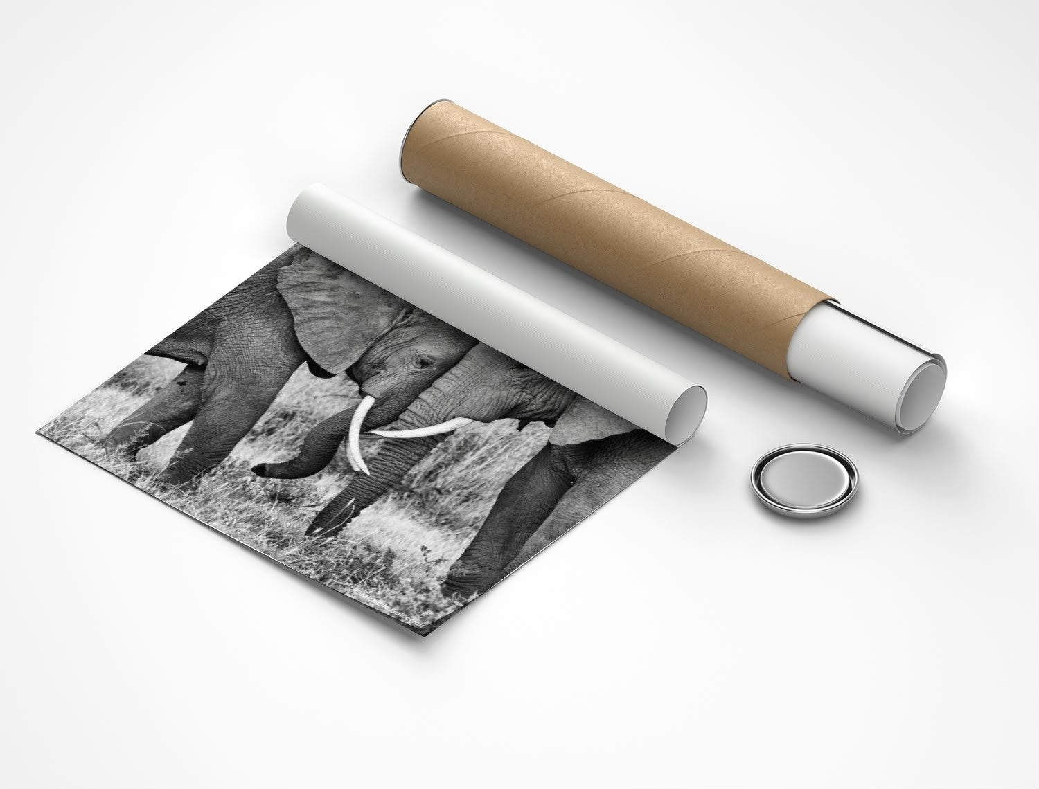 Rolled poster