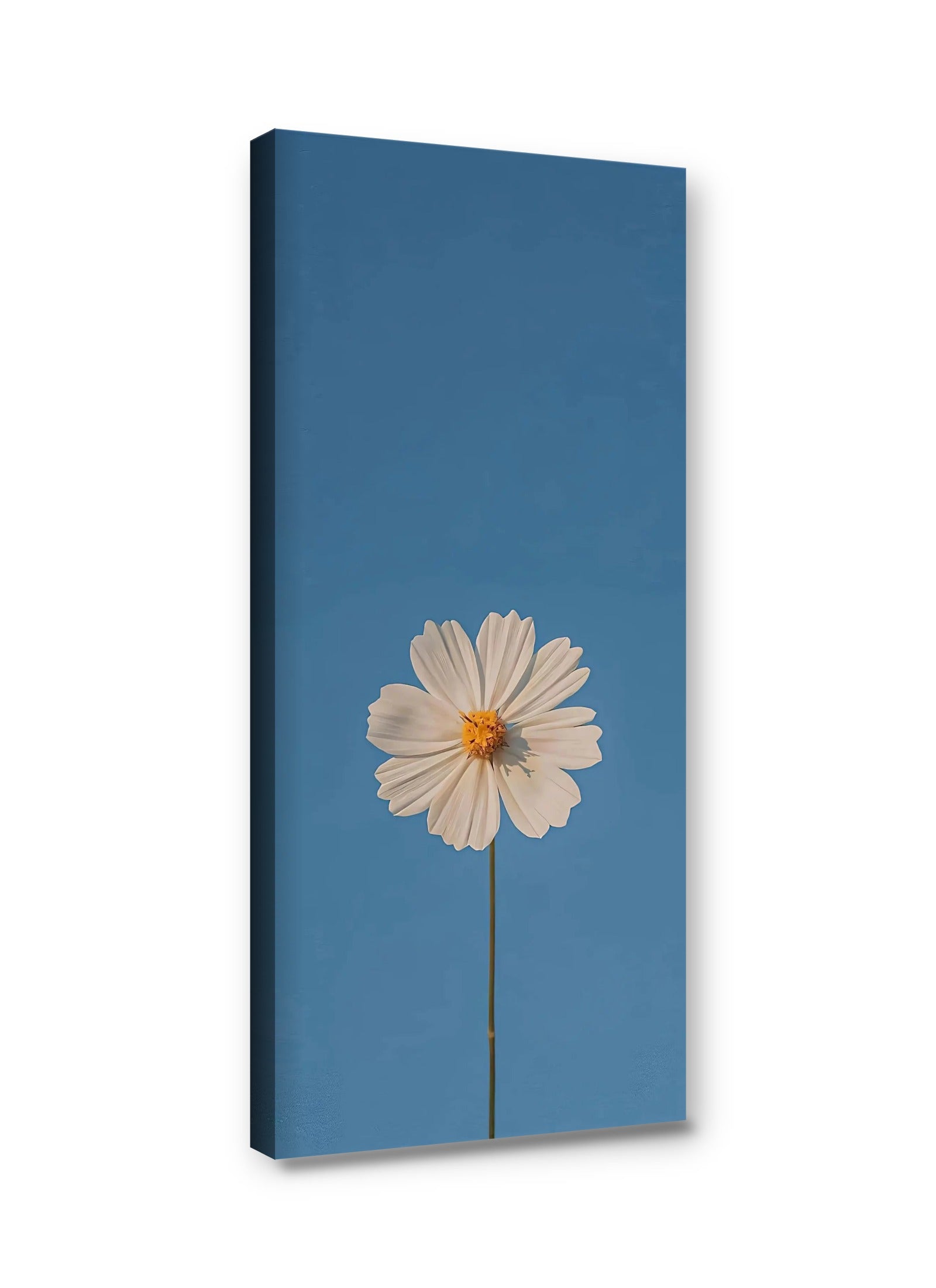 Framed canvas
