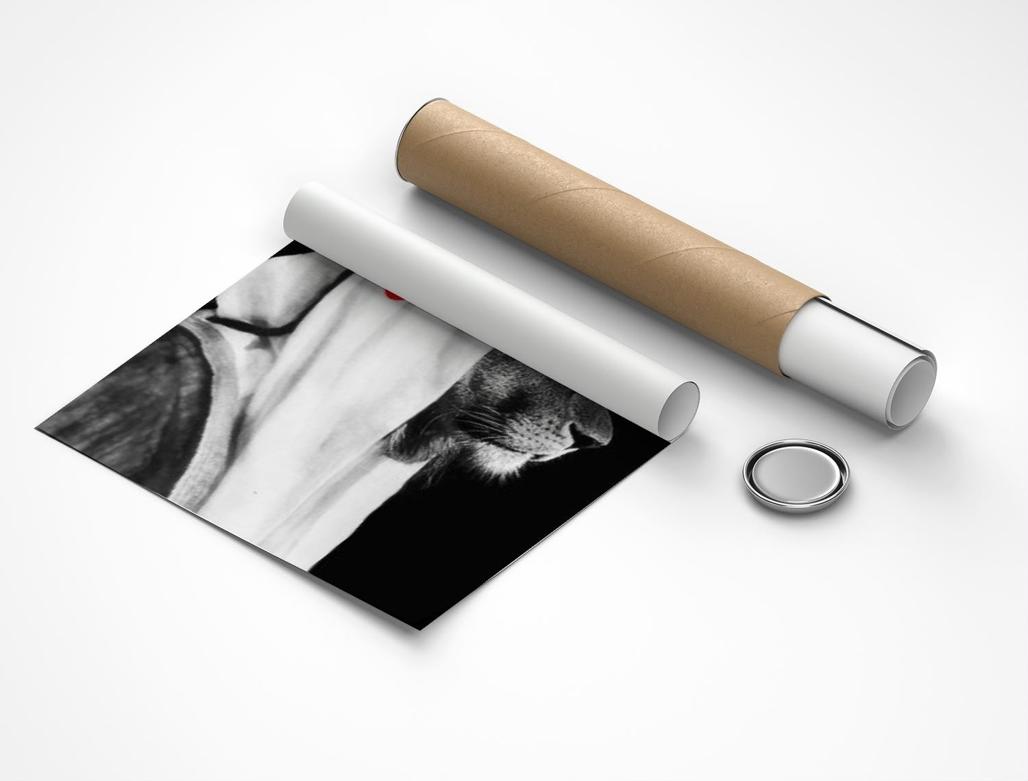 Rolled poster