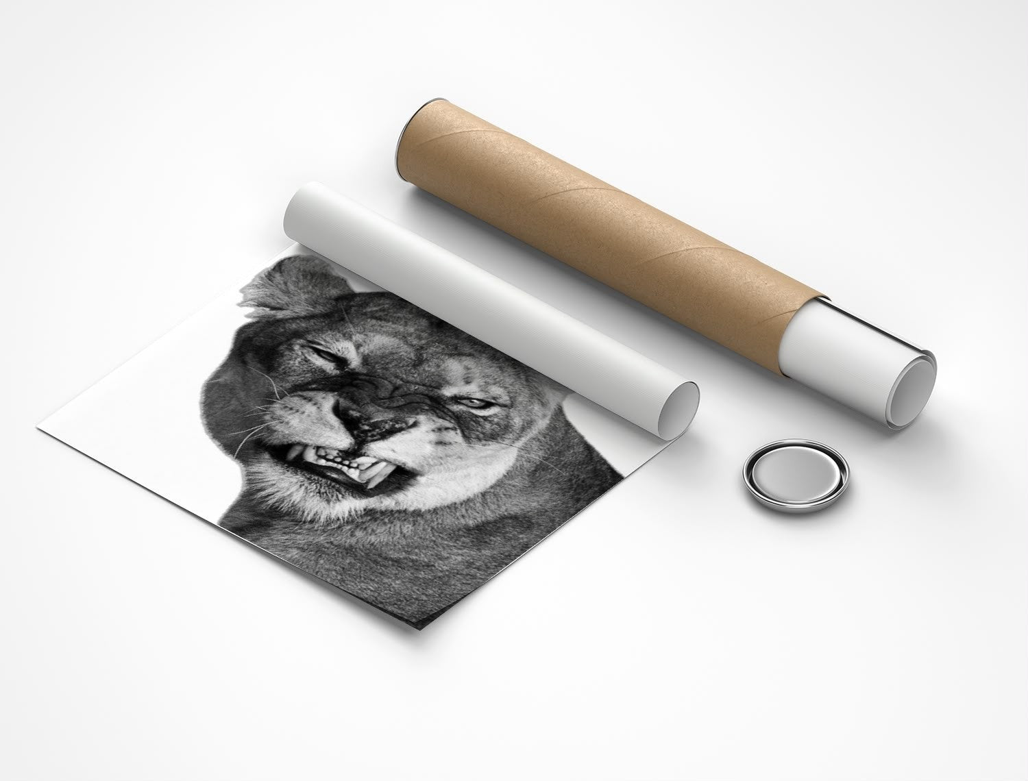 Rolled poster