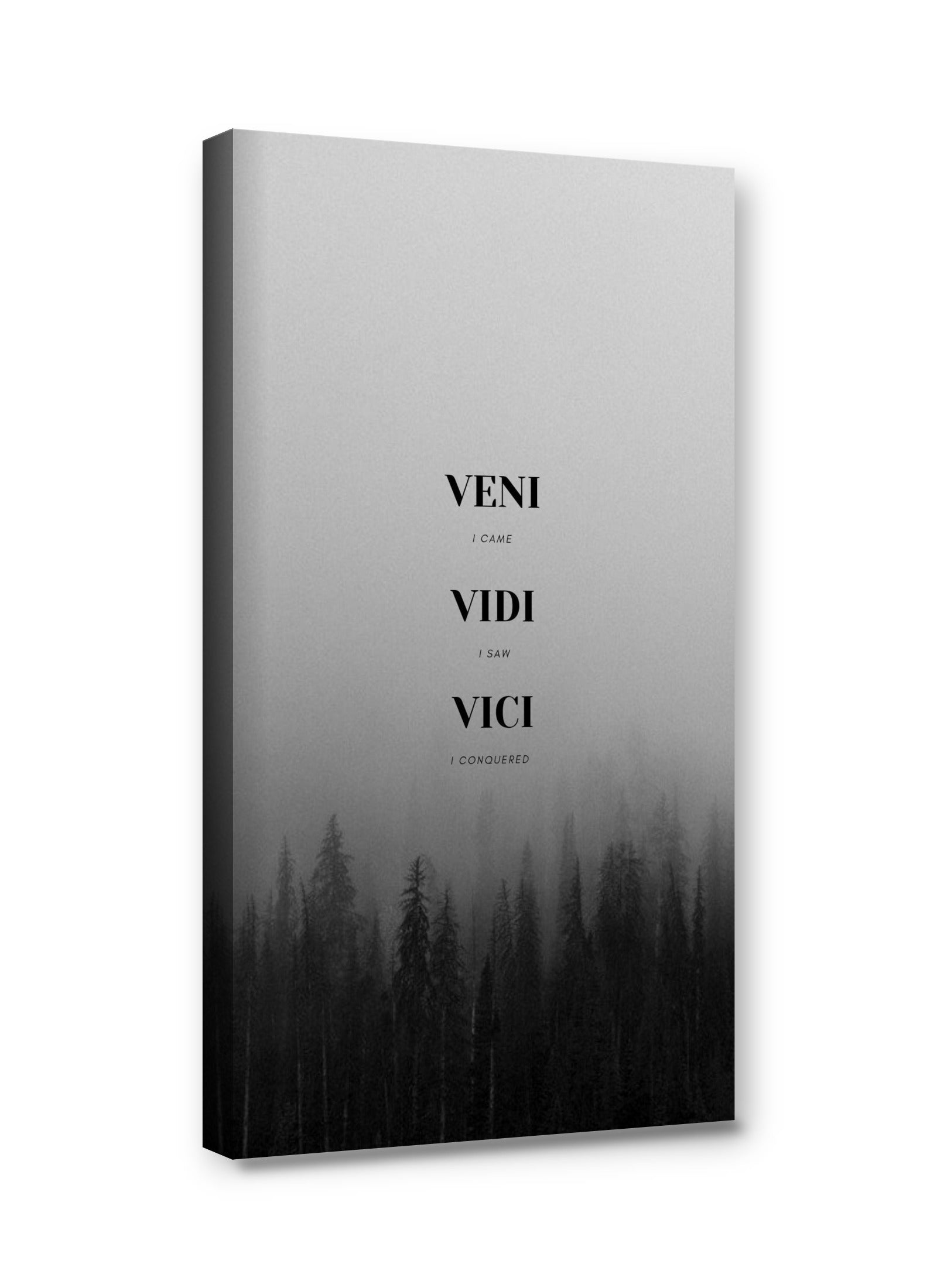 Framed canvas