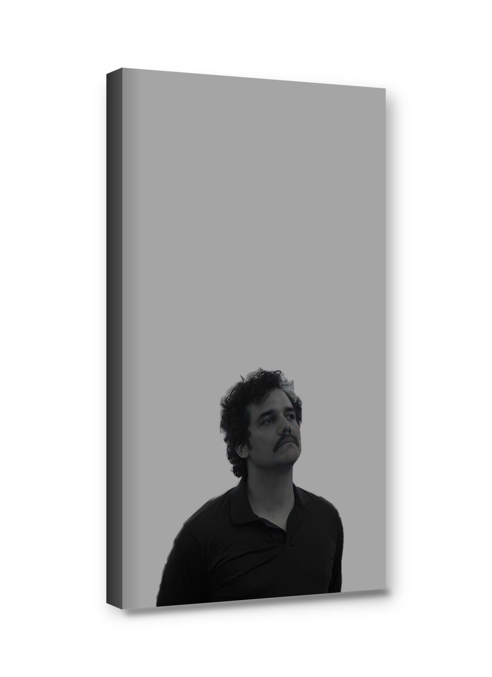 Framed canvas