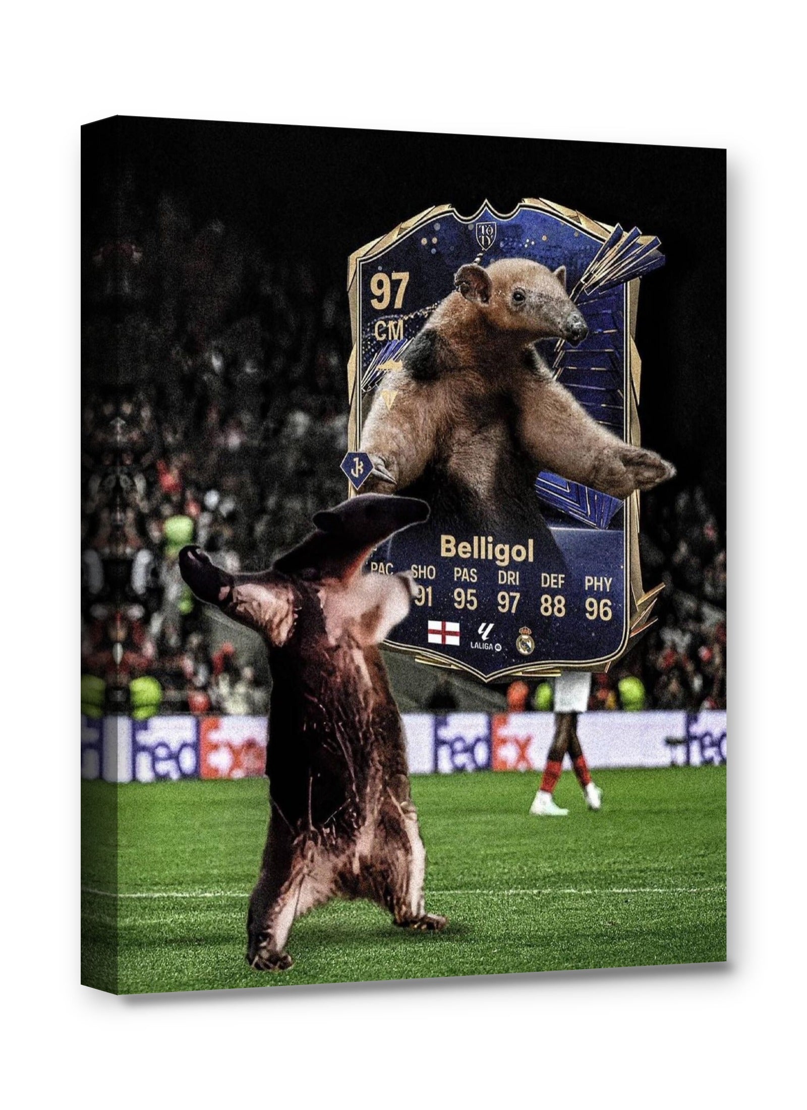 Framed canvas