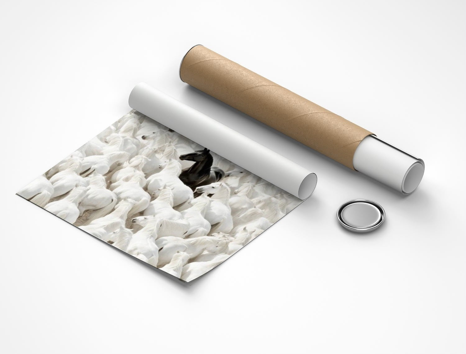 Rolled poster