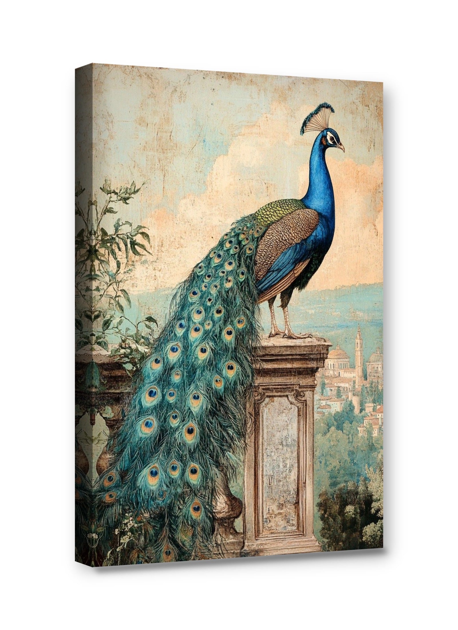Framed canvas
