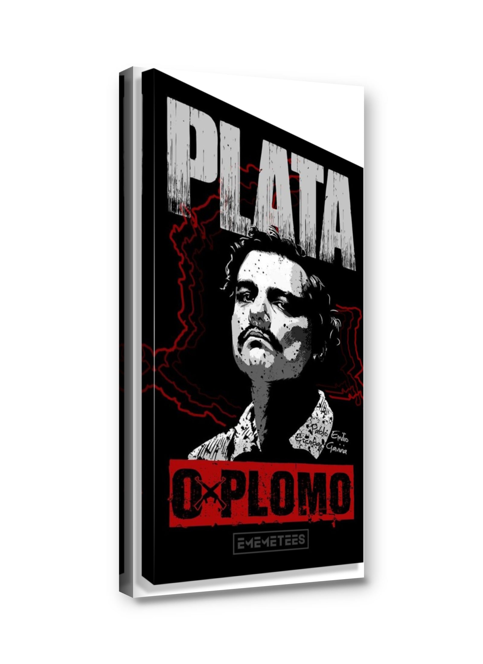 Framed canvas