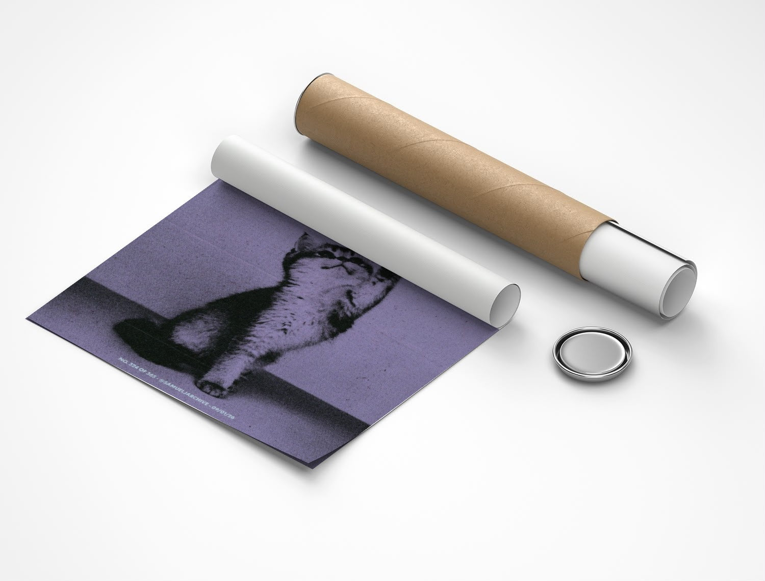 Rolled poster