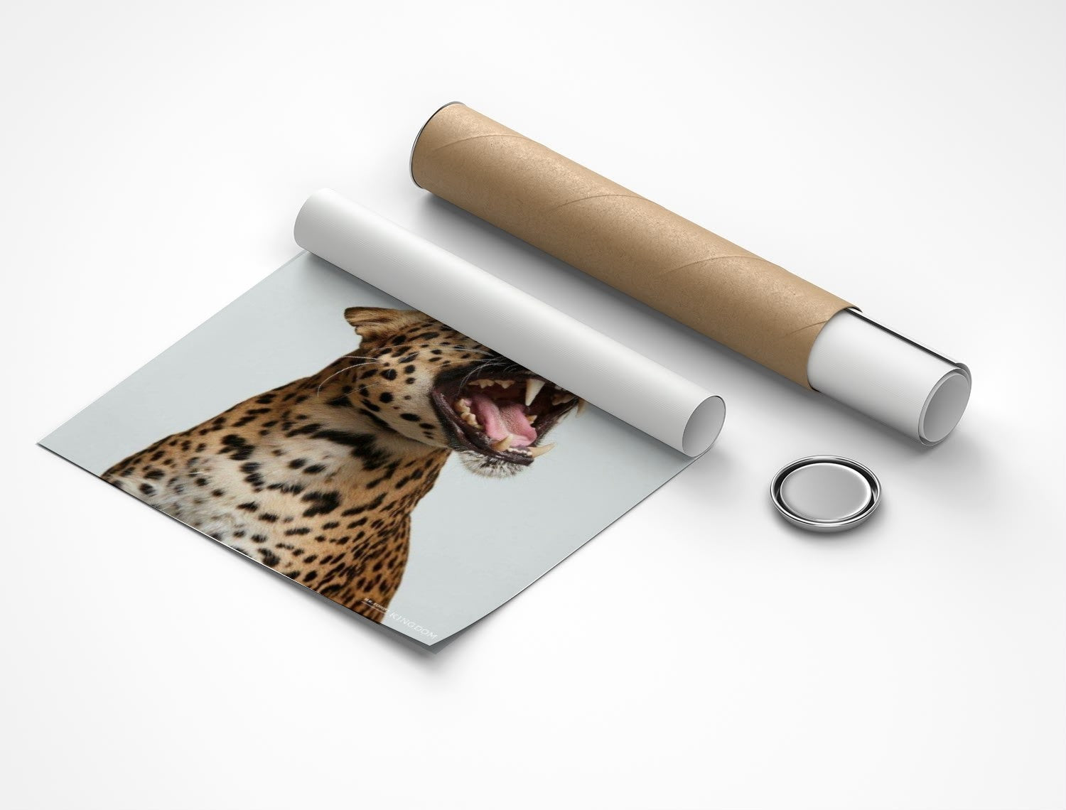 Rolled poster