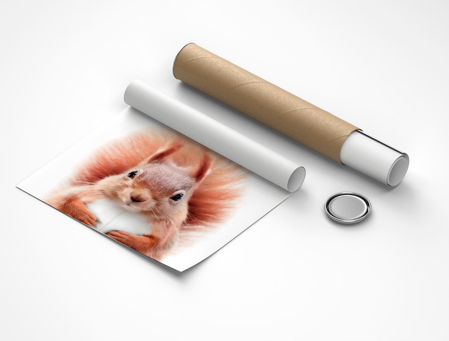 Rolled poster