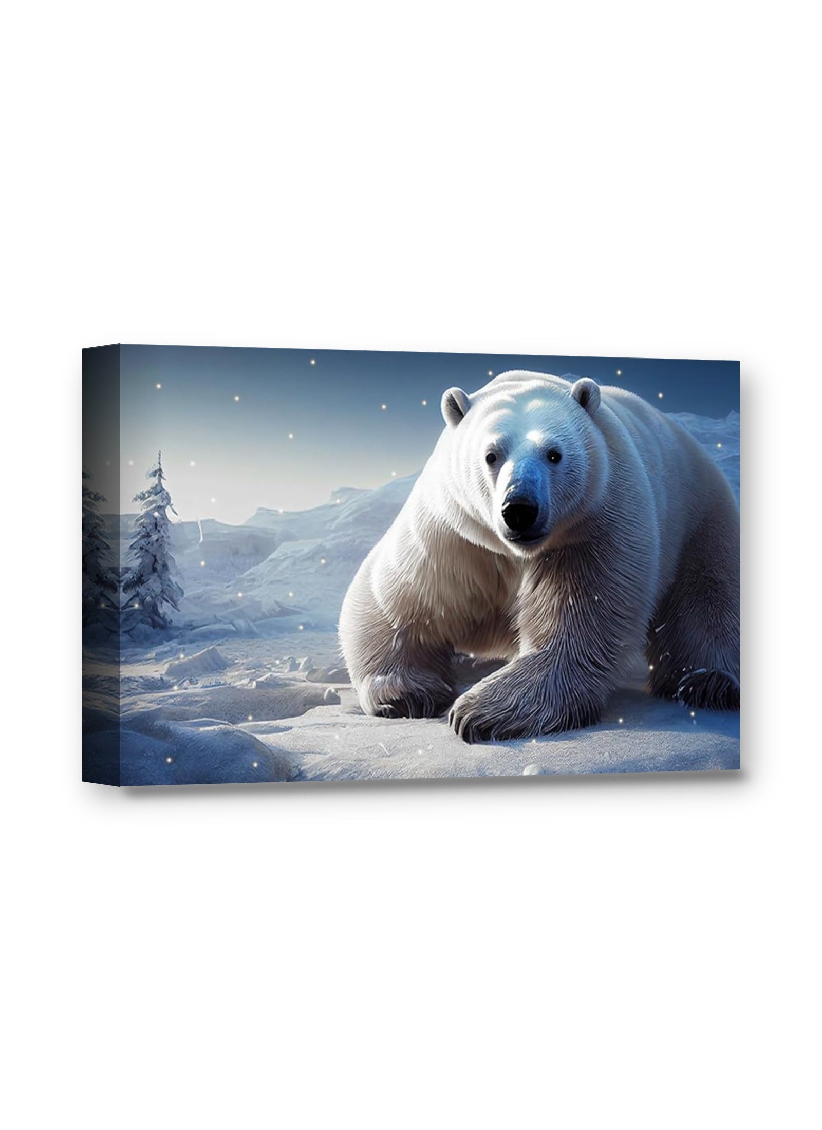 Framed canvas