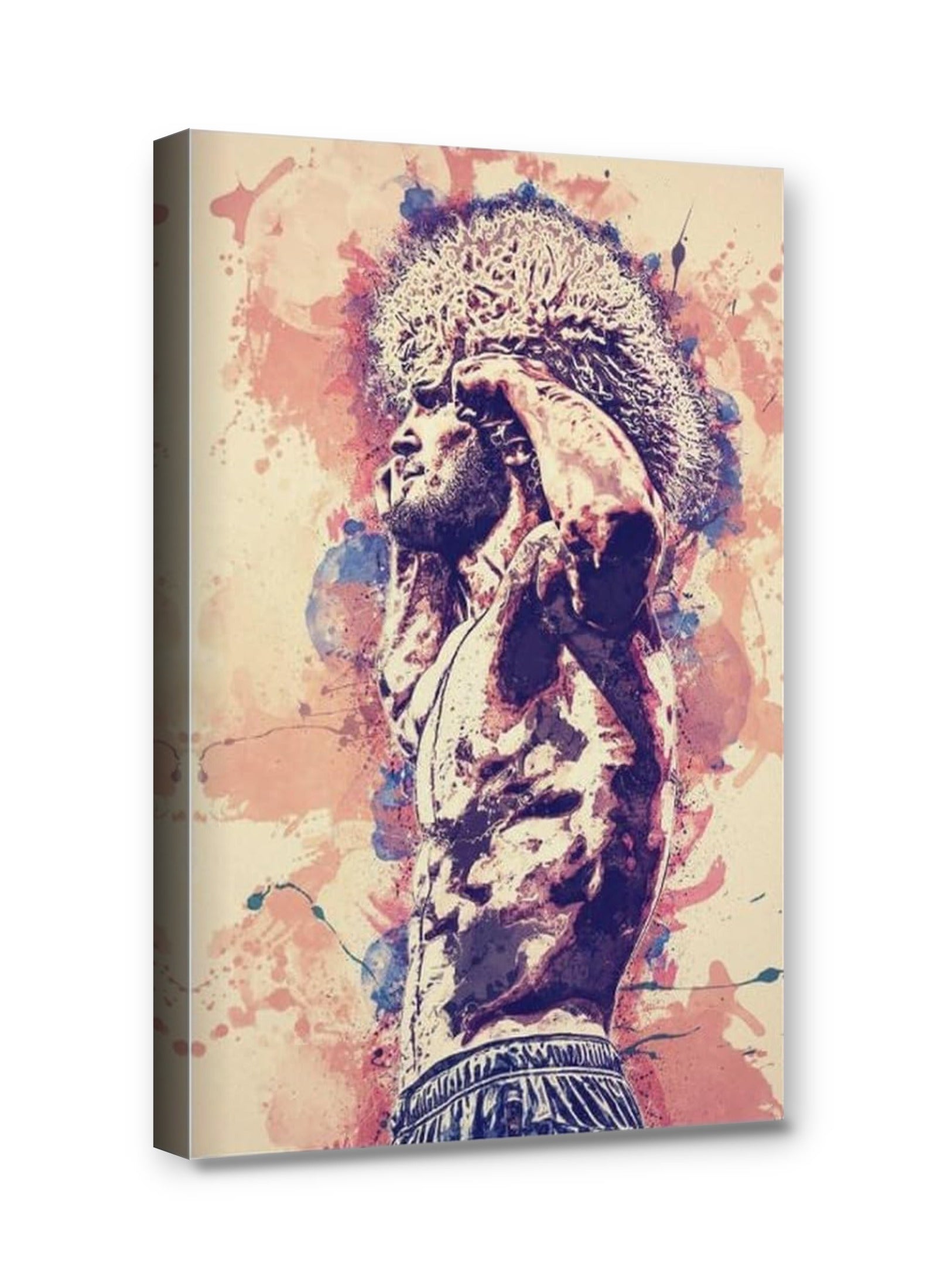Framed canvas