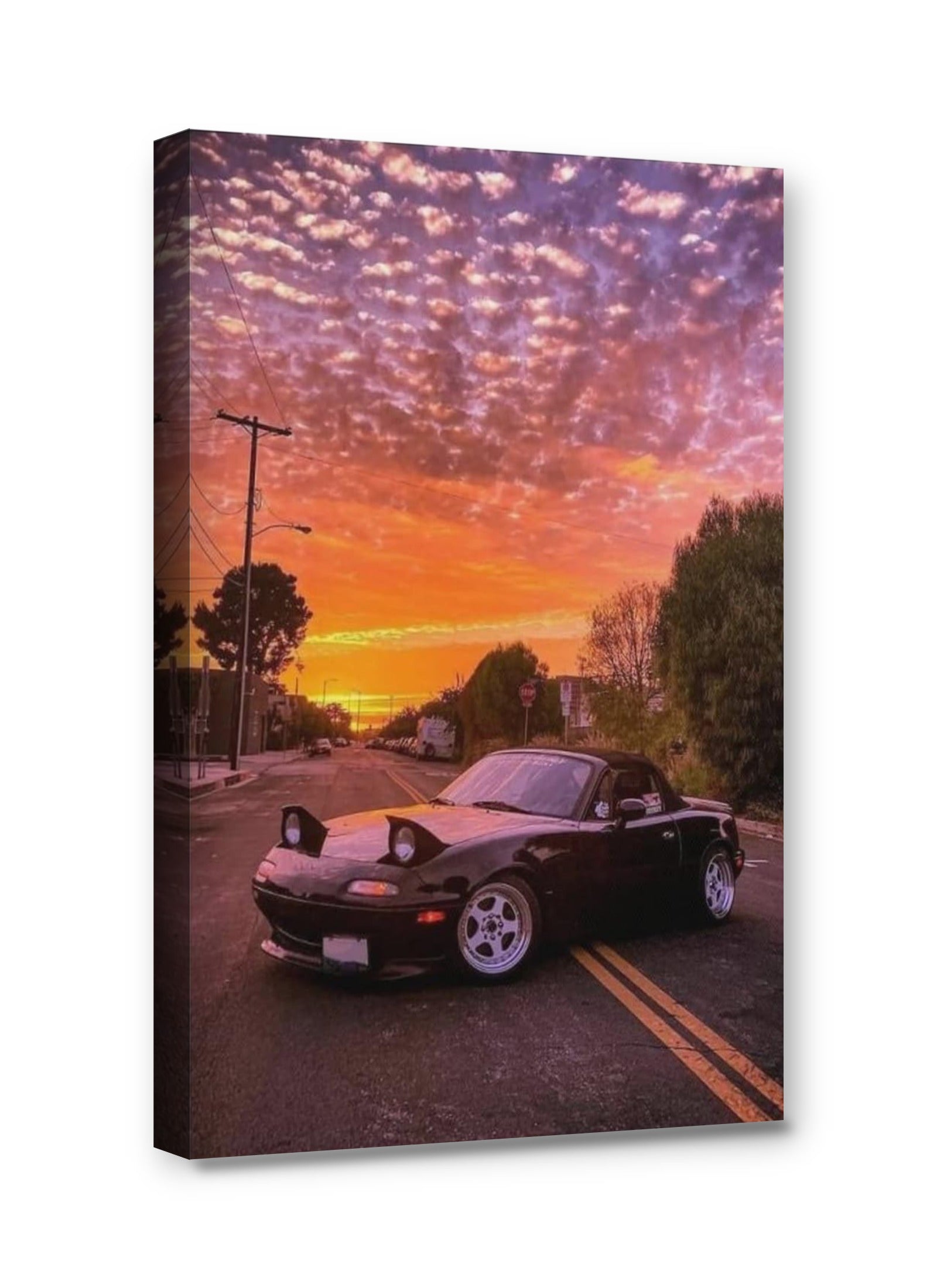 Framed canvas