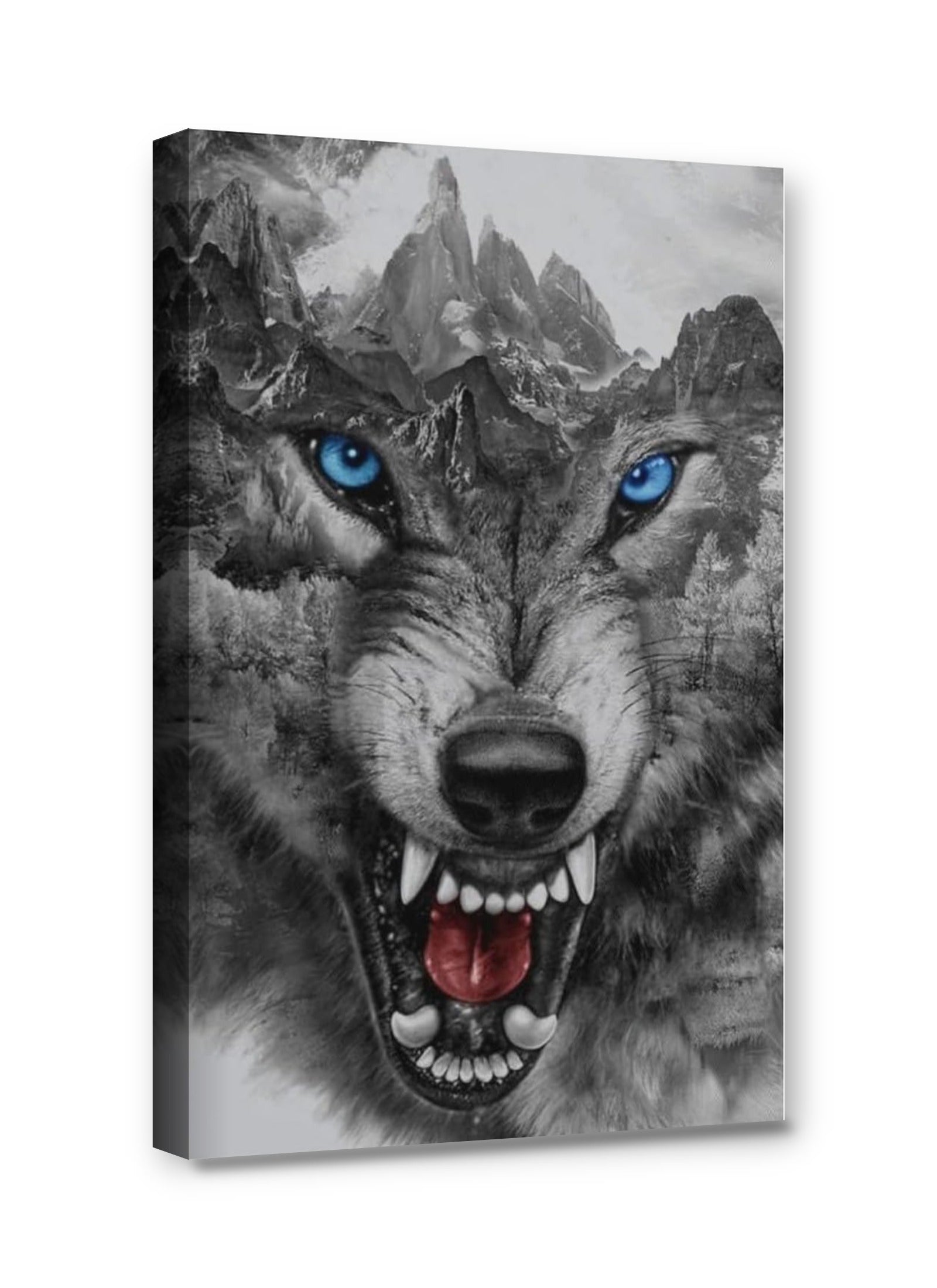 Framed canvas