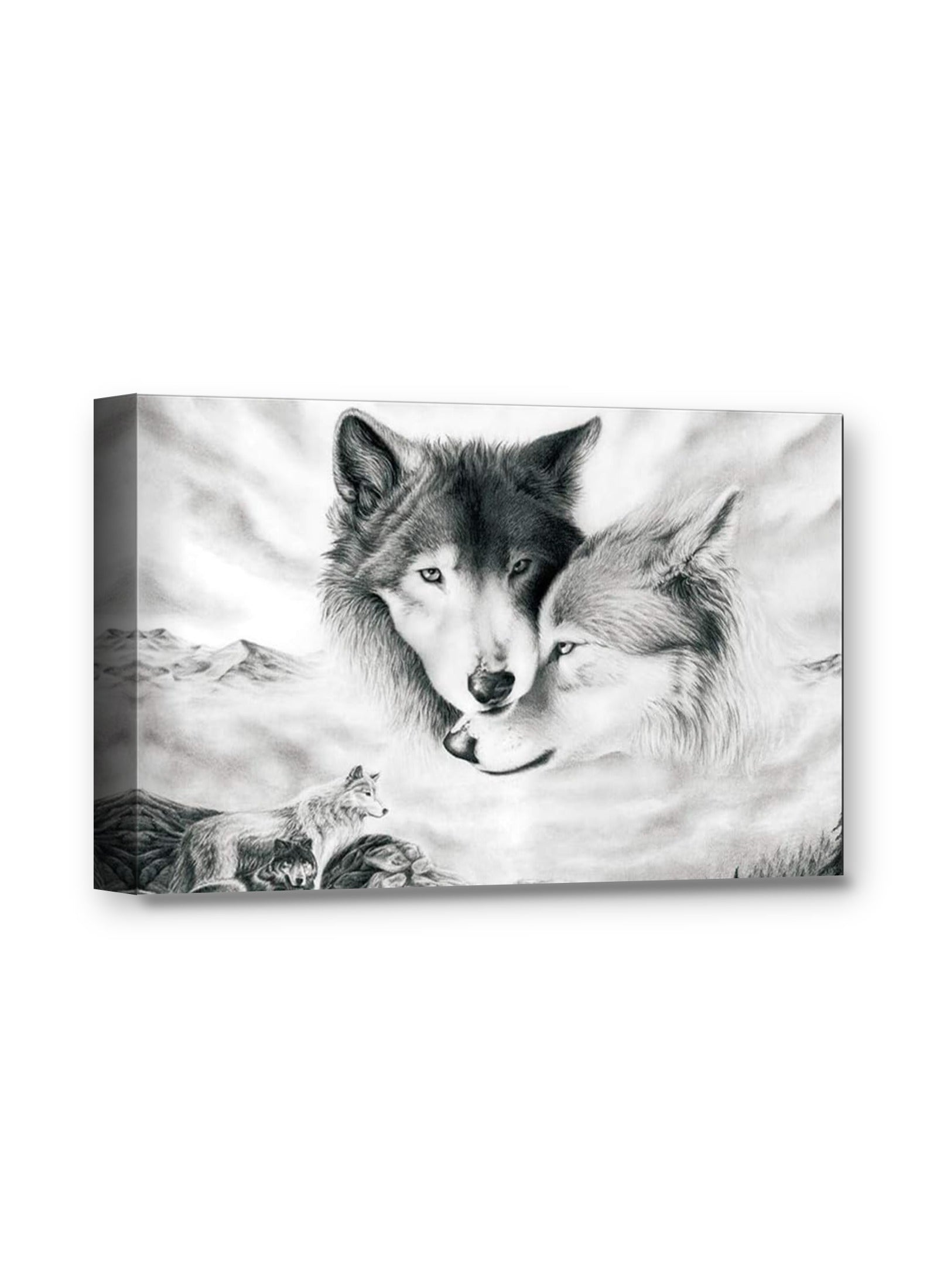 Framed canvas