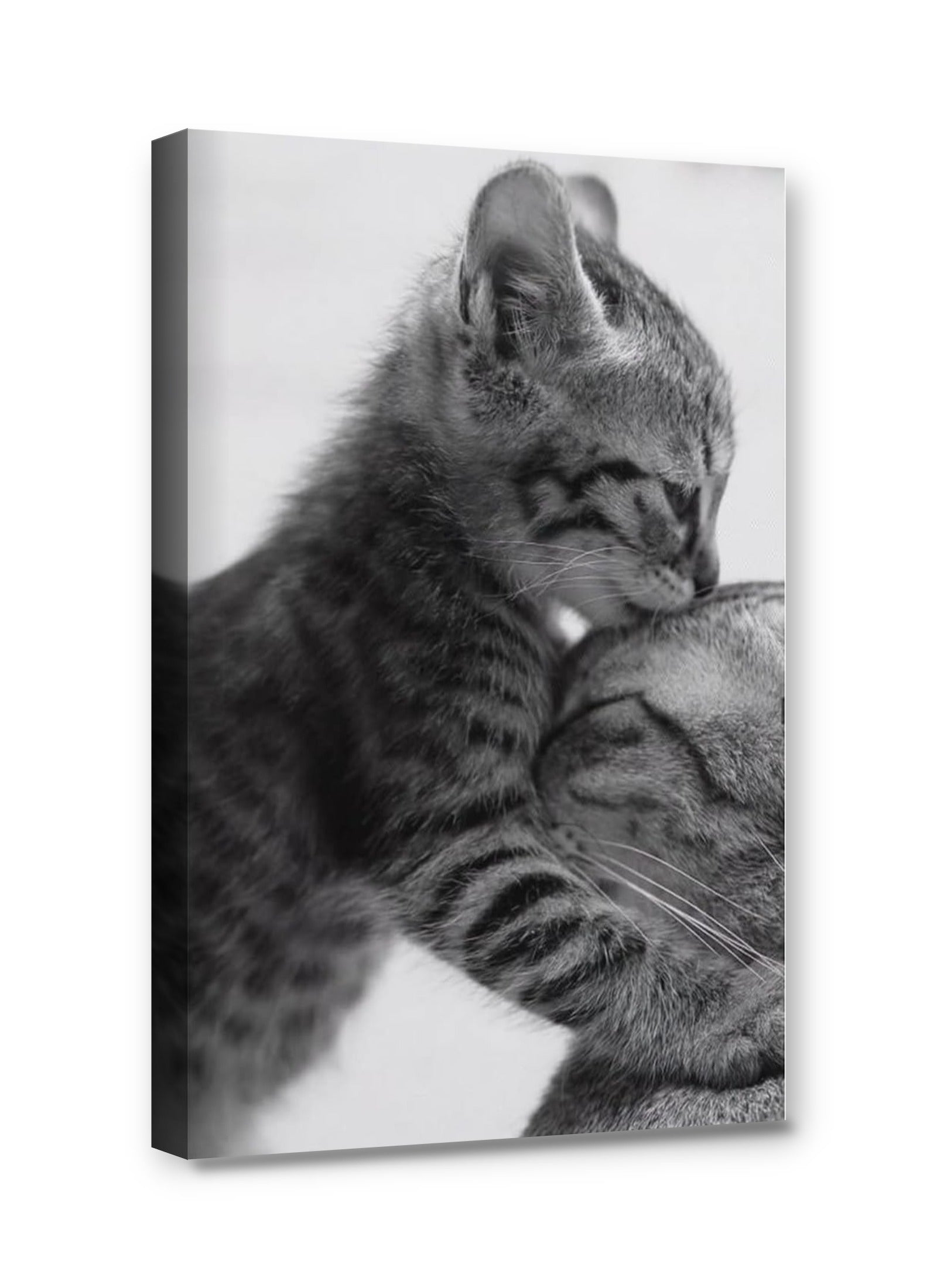 Framed canvas