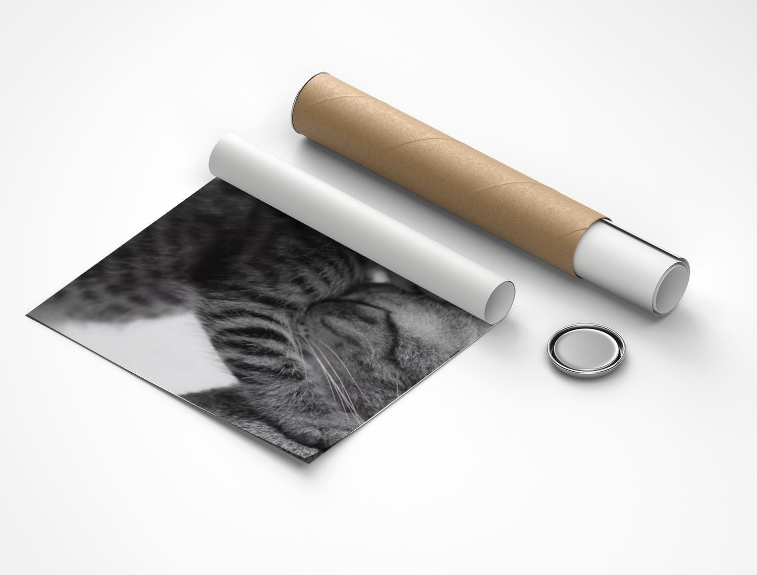 Rolled poster