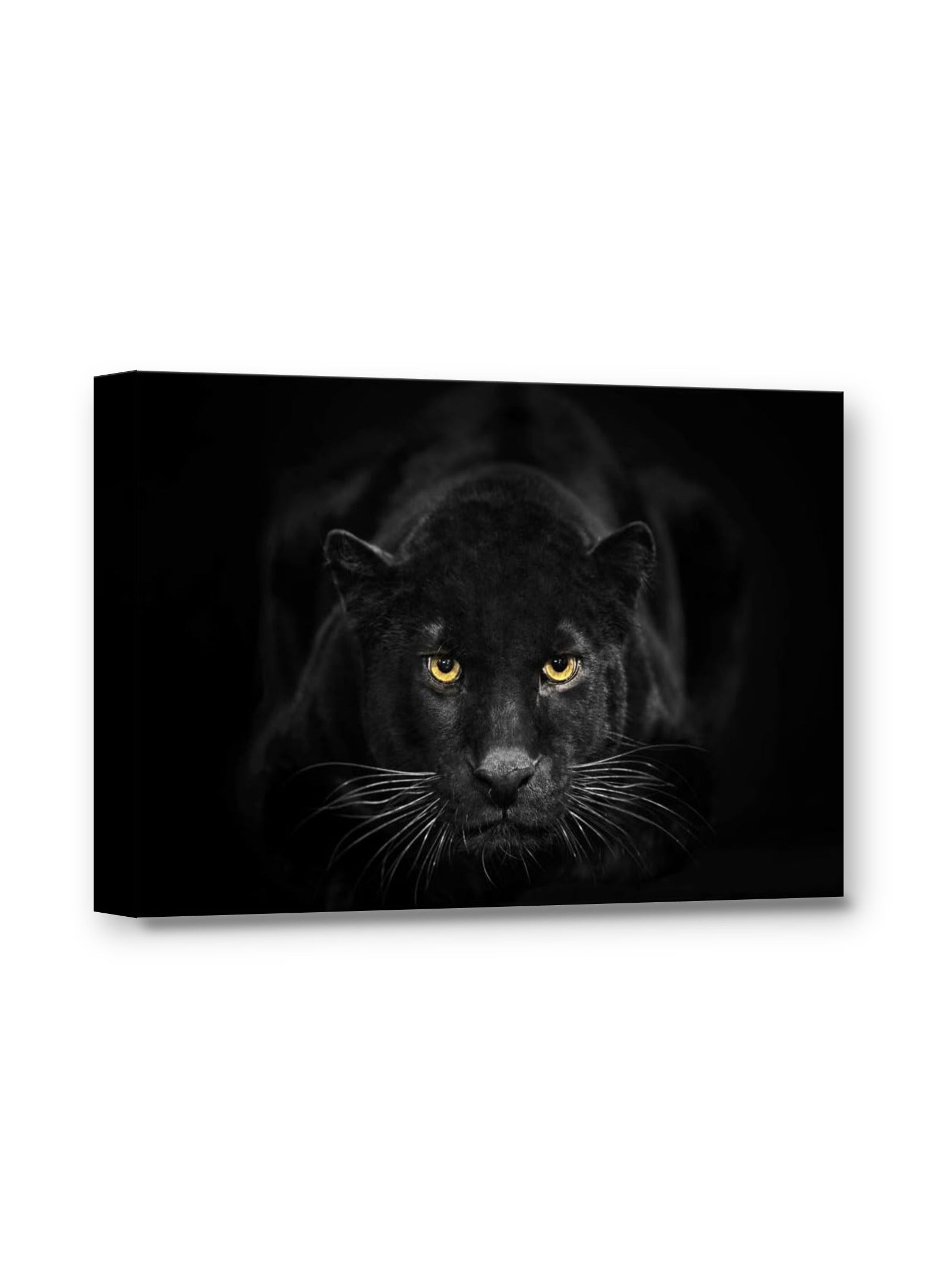 Framed canvas