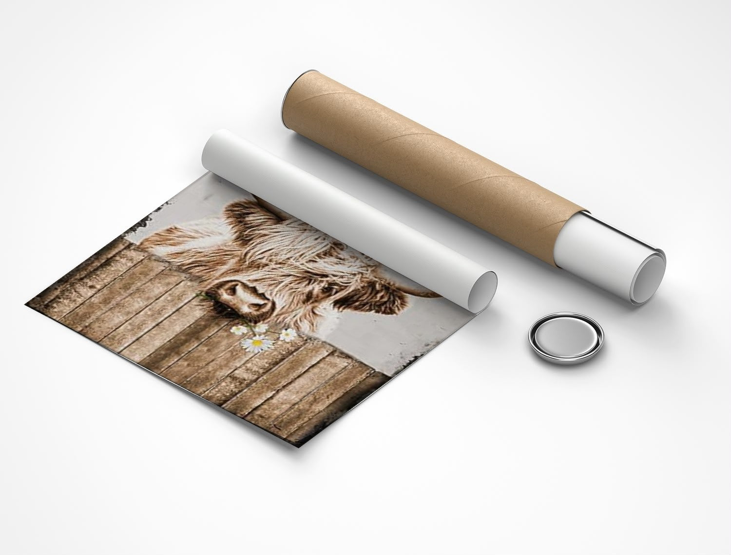 Rolled poster
