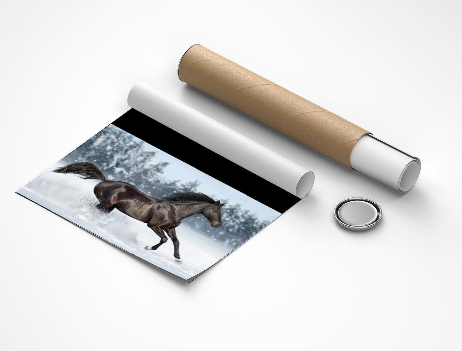 Rolled poster