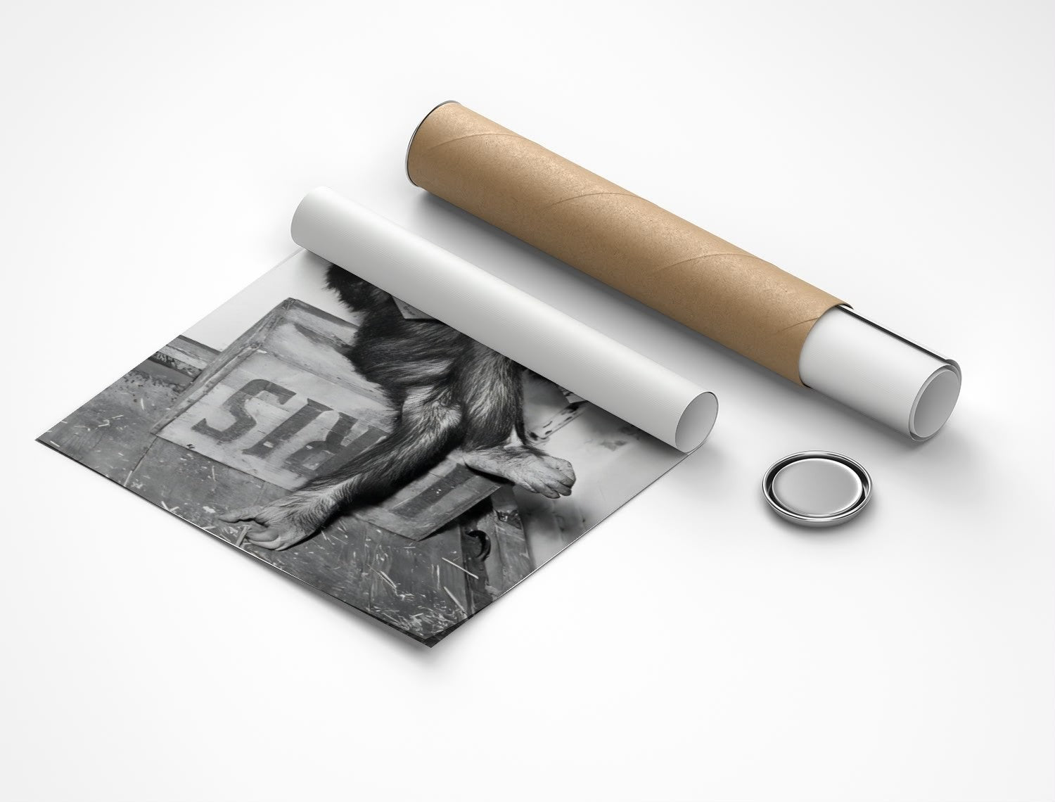 Rolled poster