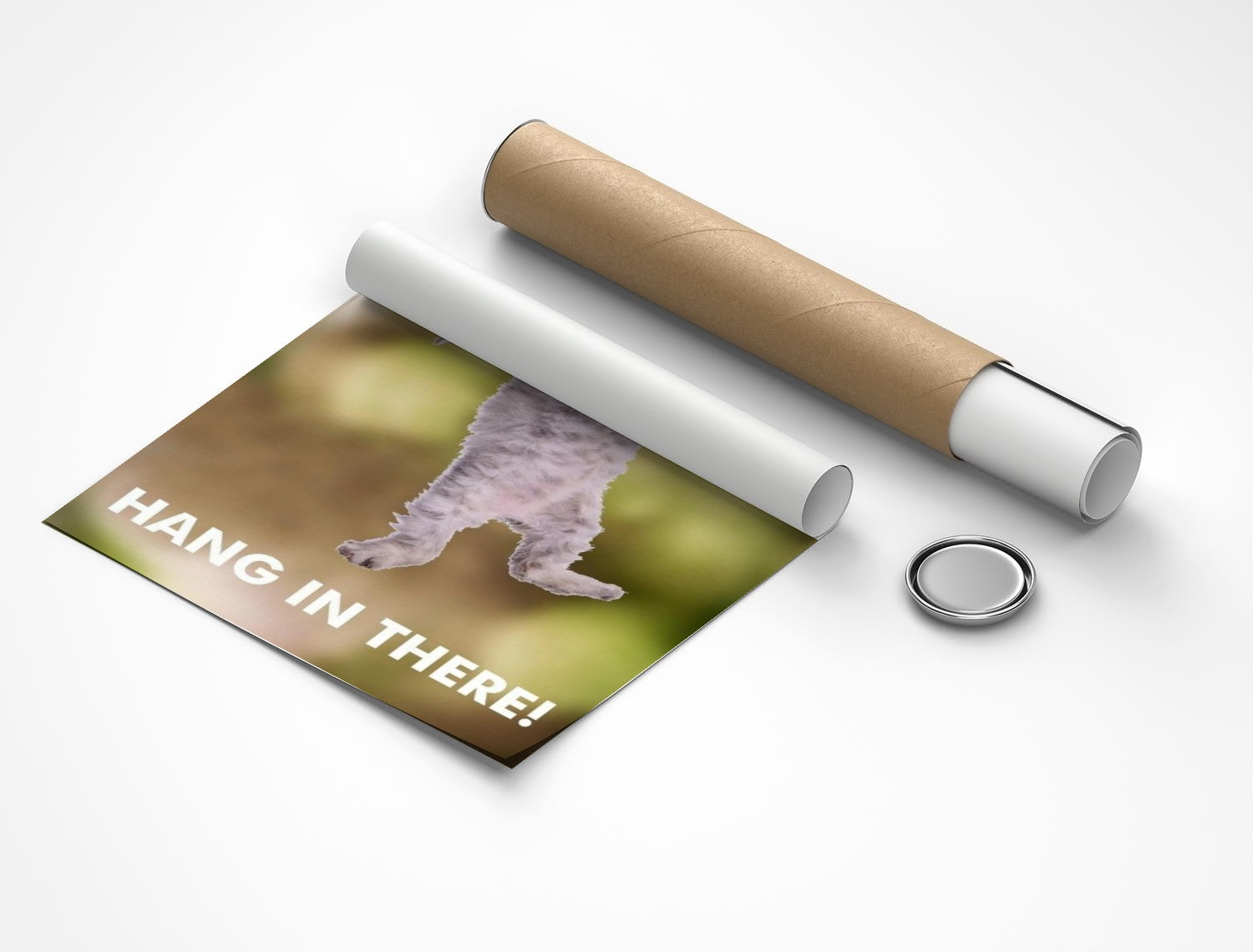 Rolled poster